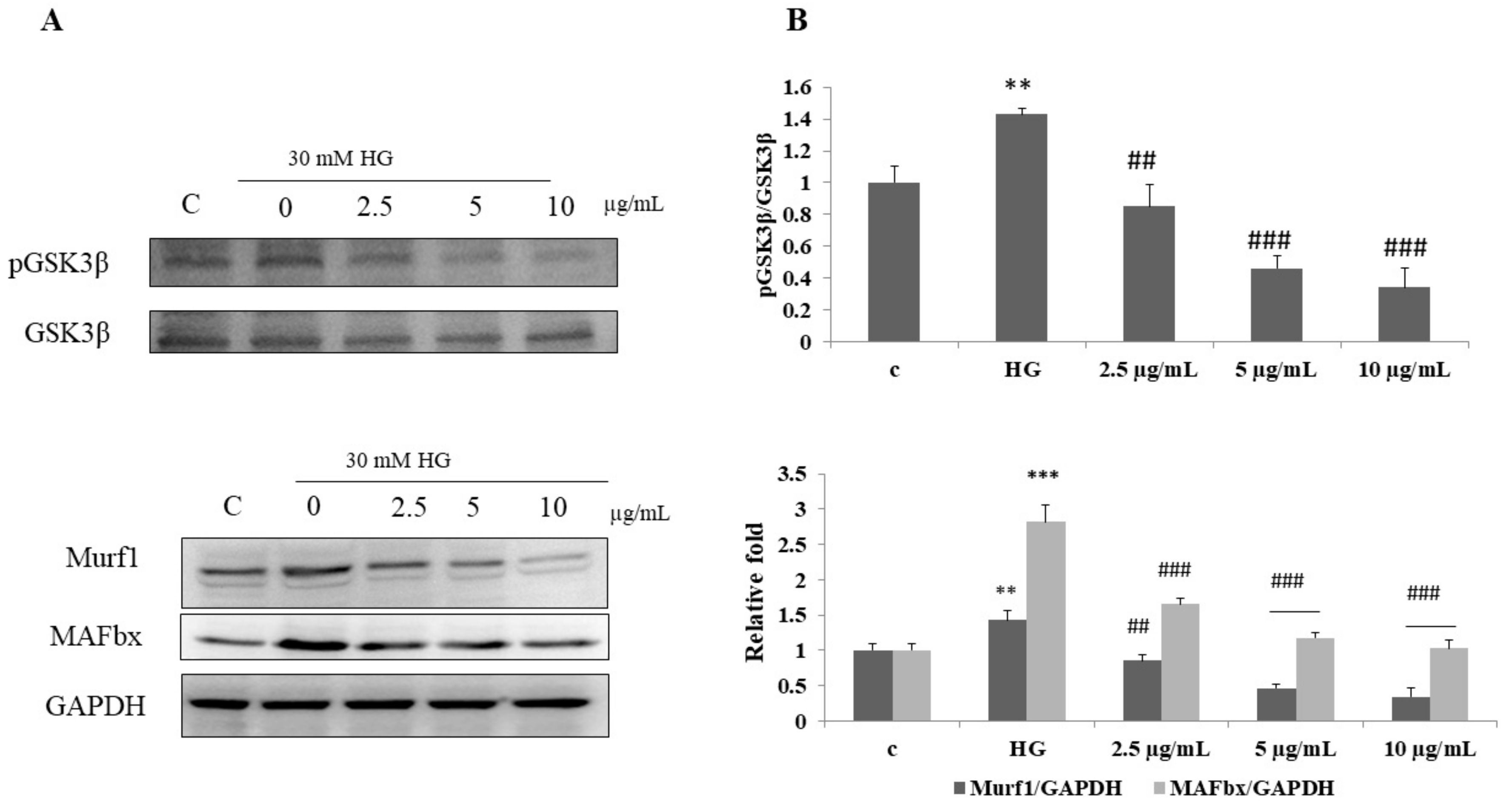 Biomolecules 12 00565 g006 550