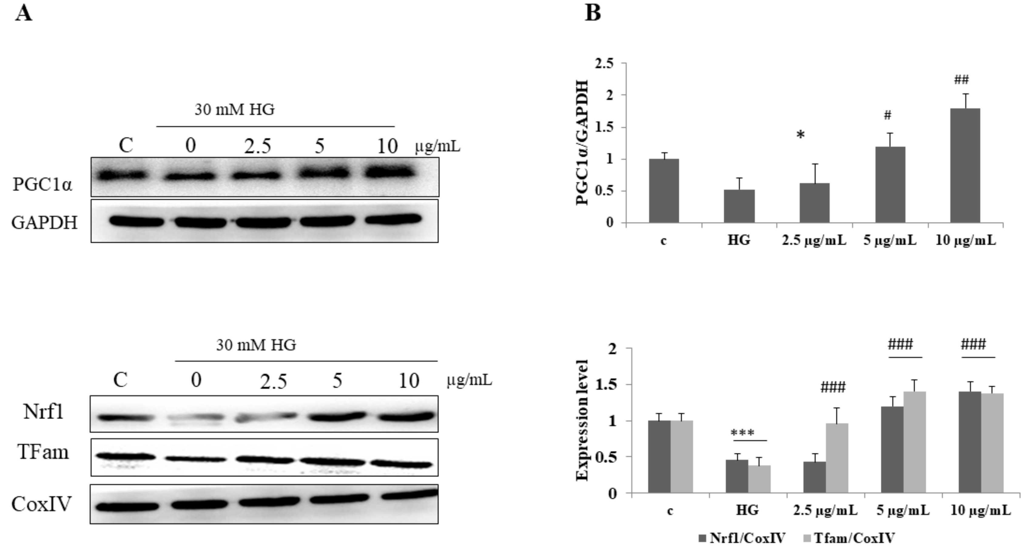 Biomolecules 12 00565 g007 550