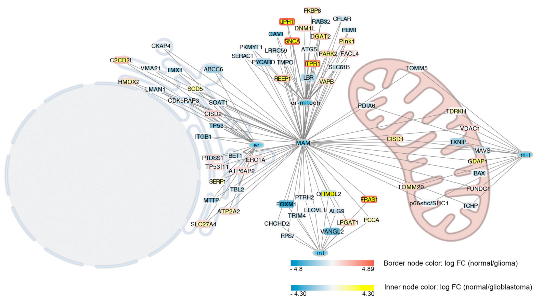 Biomolecules 12 00567 g002 Biomolecules 12 00567 g002