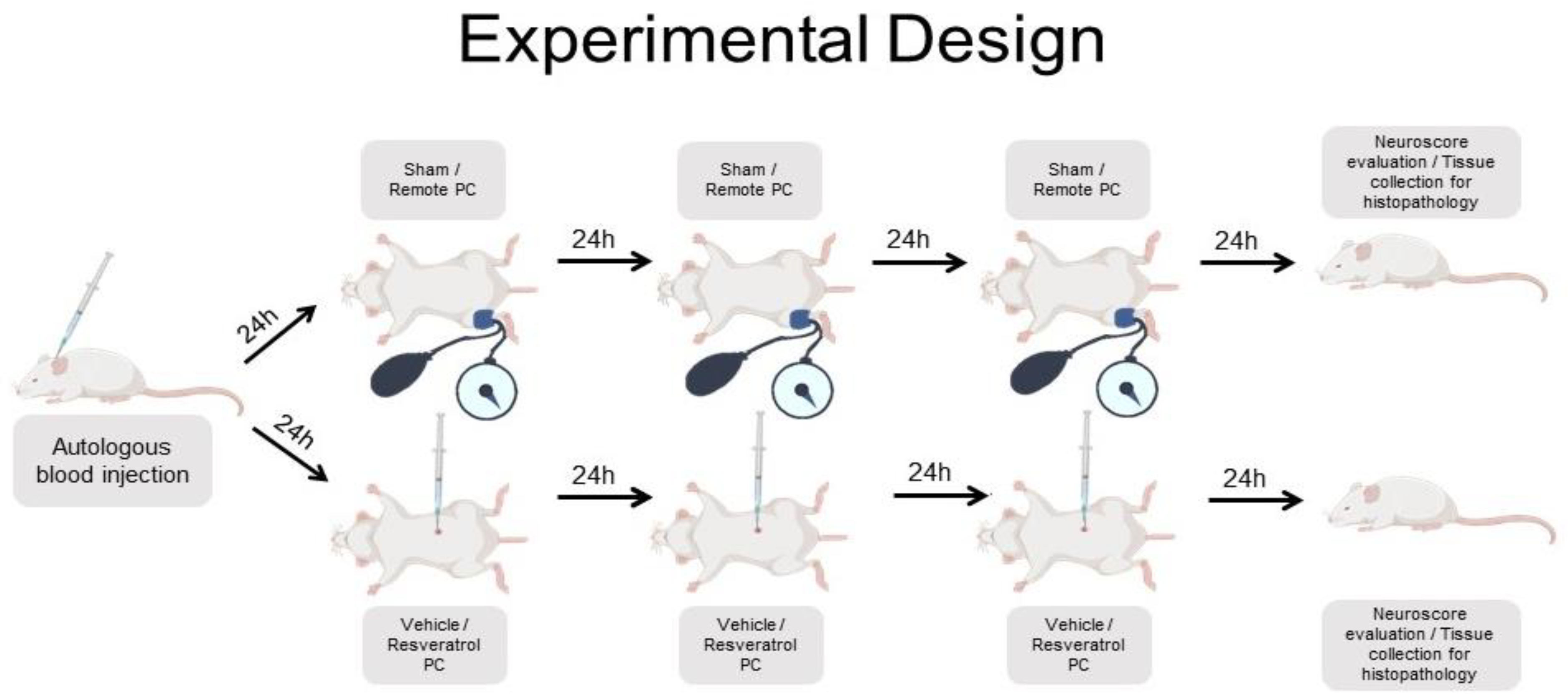 Biomolecules 12 00568 g001 Biomolecules 12 00568 g001