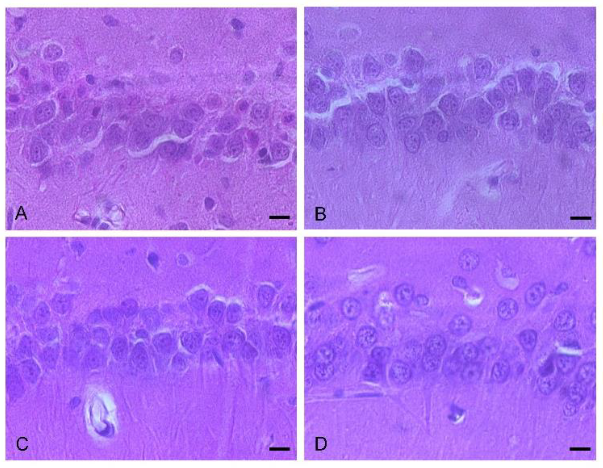 Biomolecules 12 00568 g004 Biomolecules 12 00568 g004