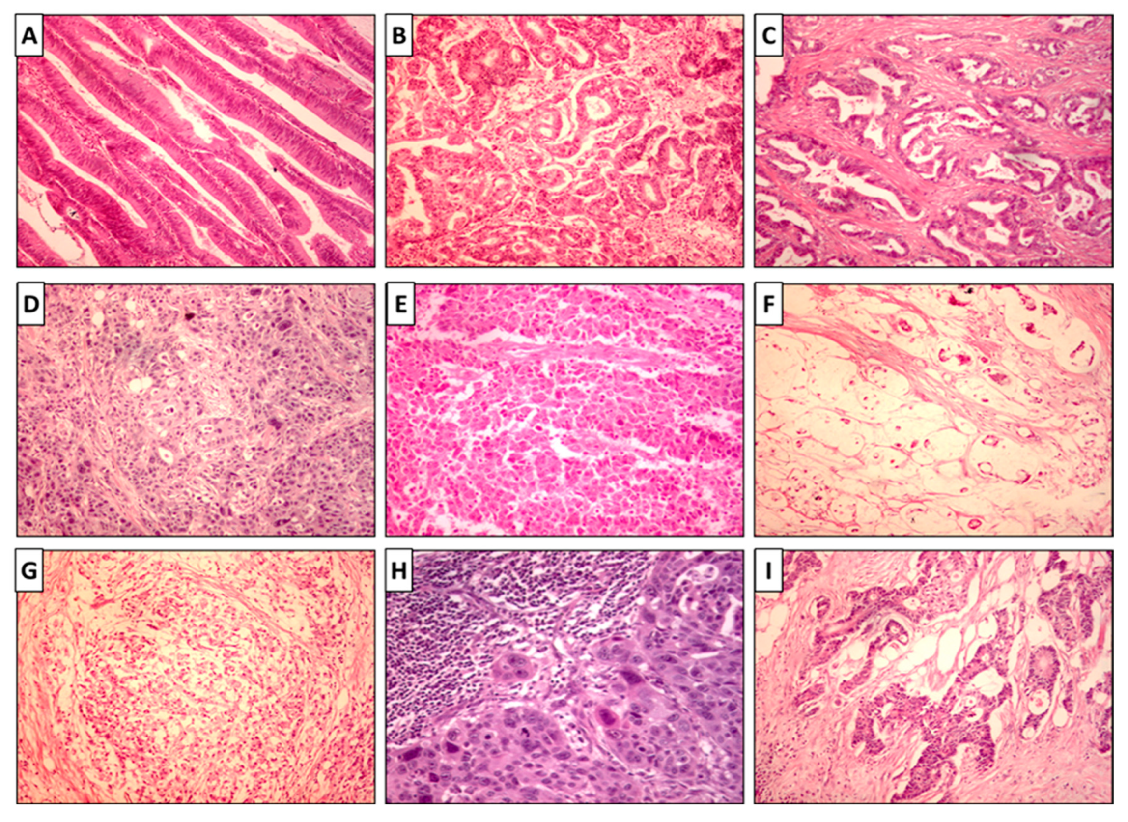 Biomolecules 12 00569 g001