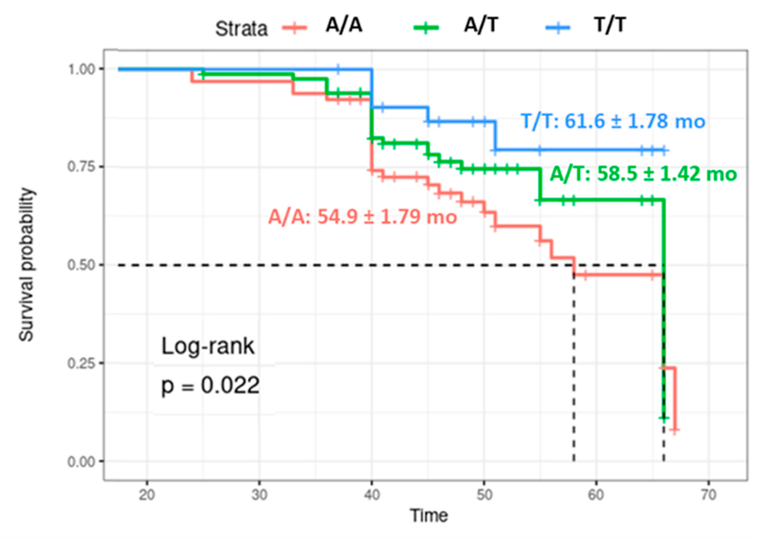 Biomolecules 12 00569 g004