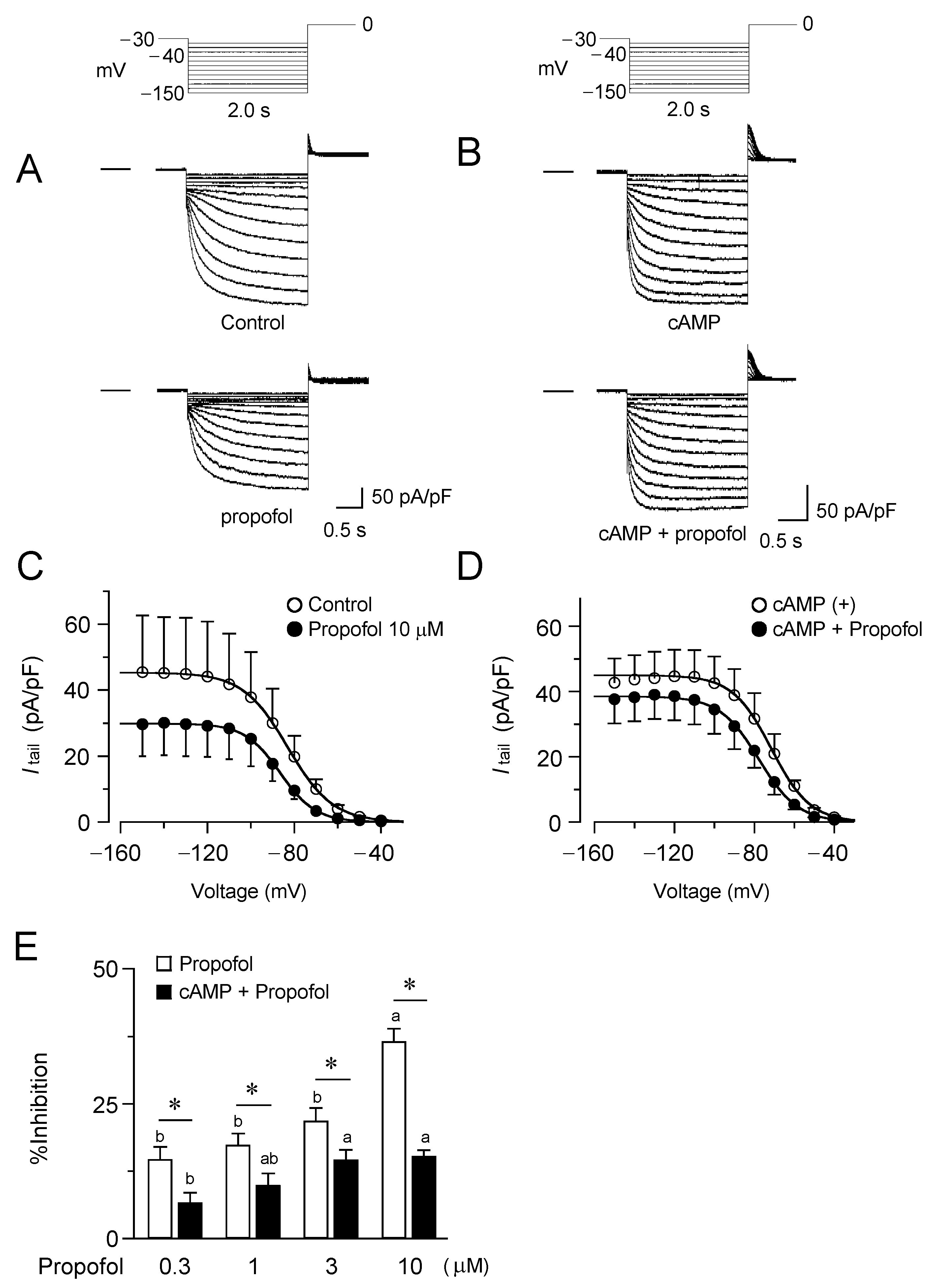 Biomolecules 12 00570 g001