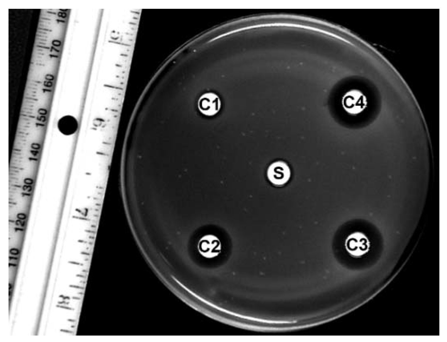 Biomolecules 12 00571 g0a1 Biomolecules 12 00571 g0a1
