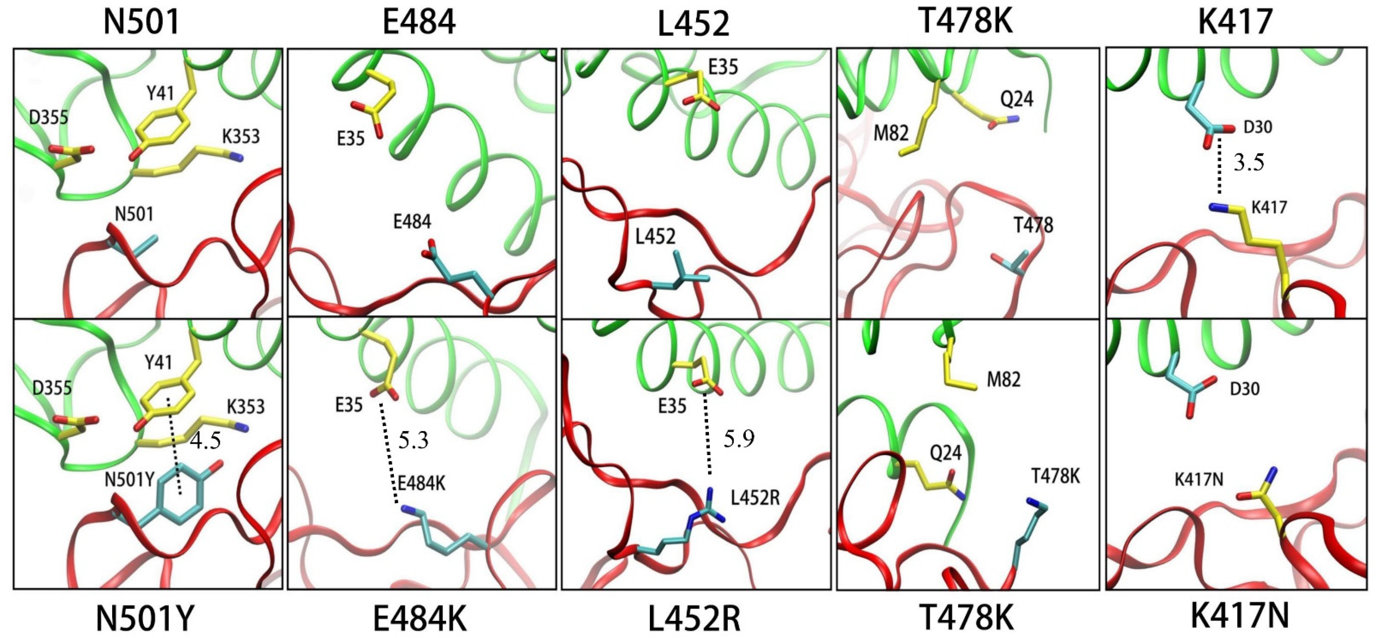 Biomolecules 12 00572 g002
