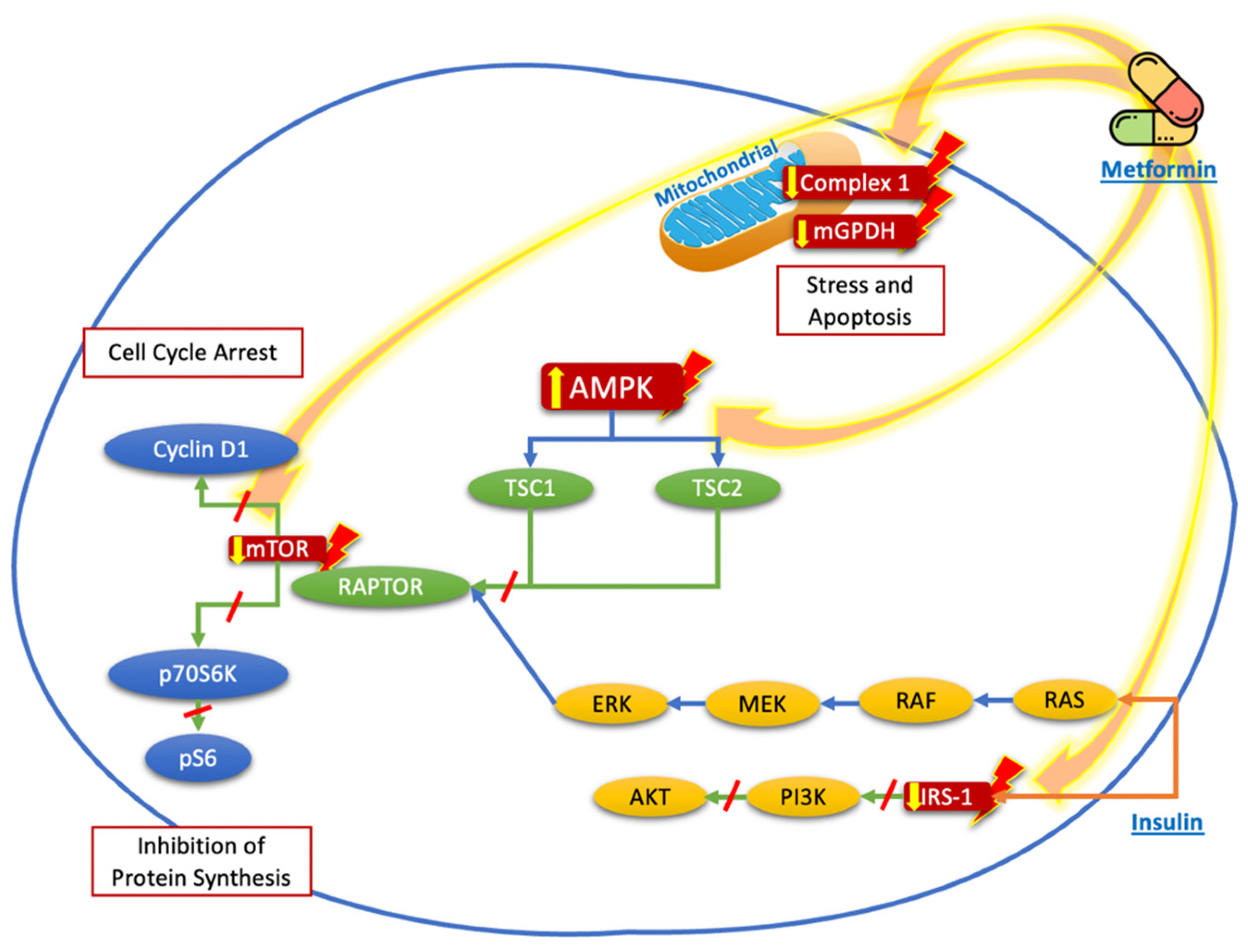 Biomolecules 12 00574 g001 550