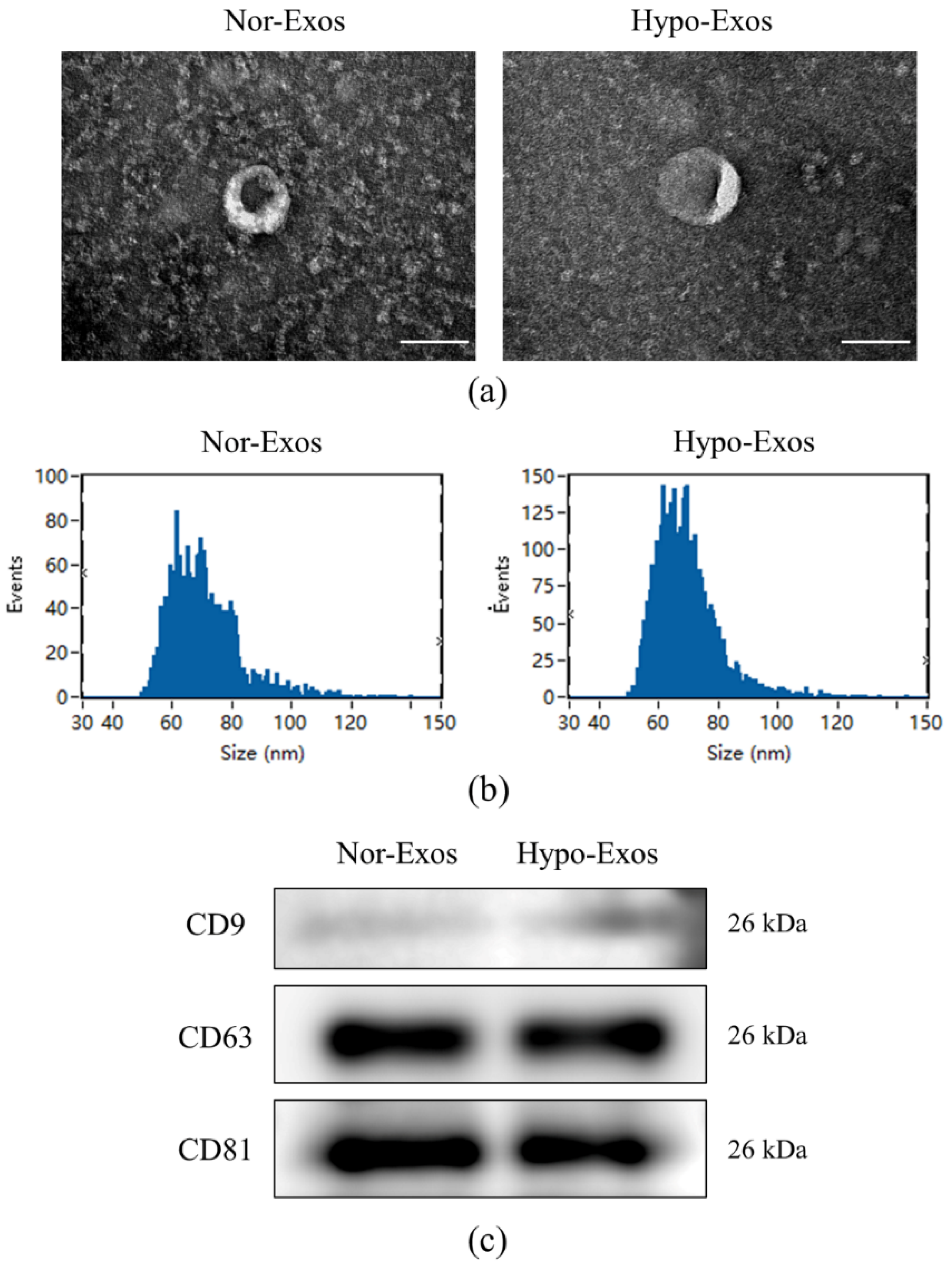 Biomolecules 12 00575 g002 550