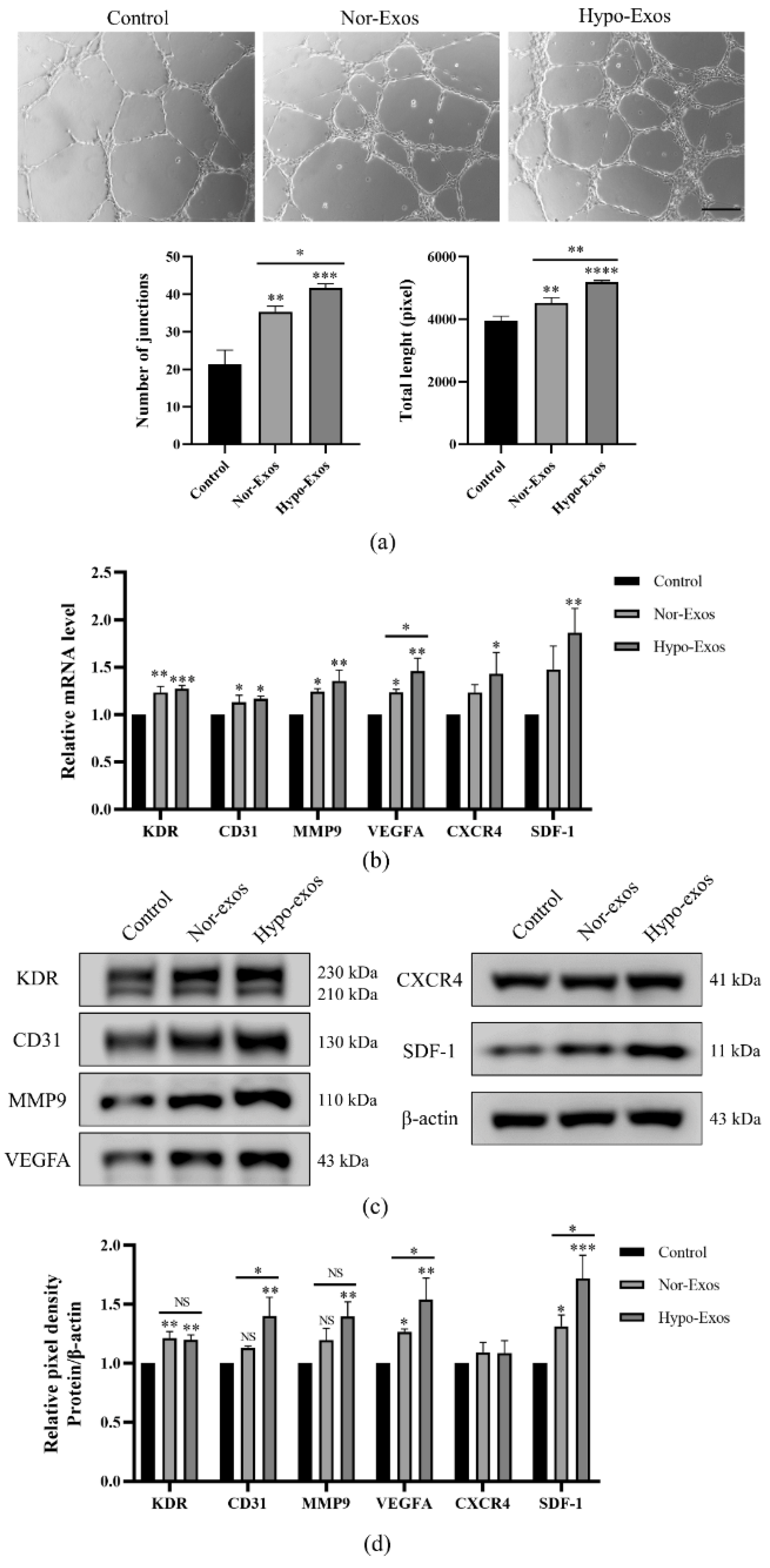 Biomolecules 12 00575 g004 550