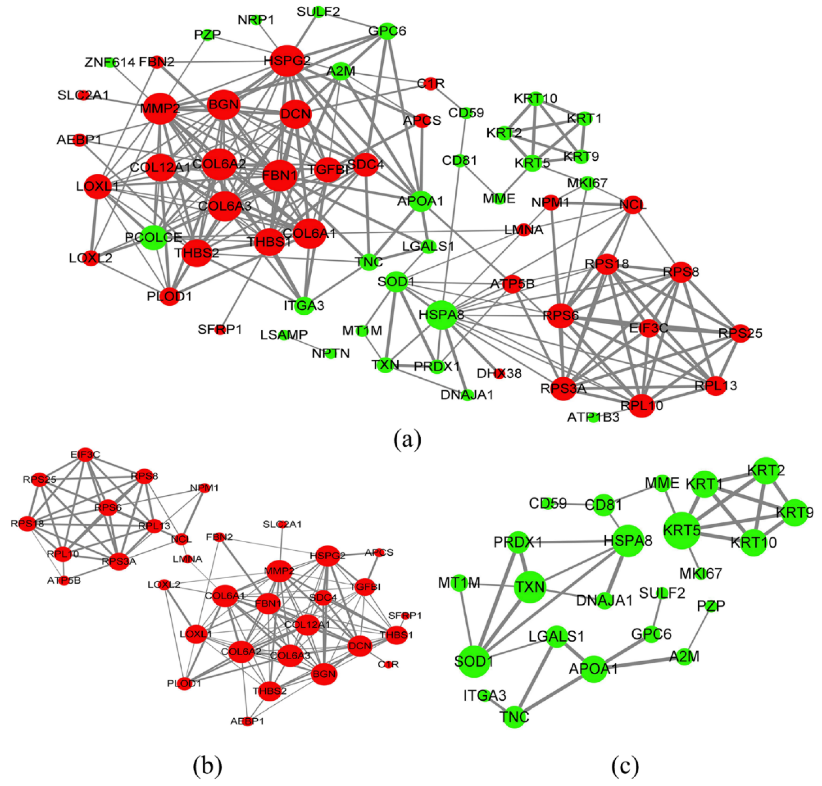Biomolecules 12 00575 g006 550