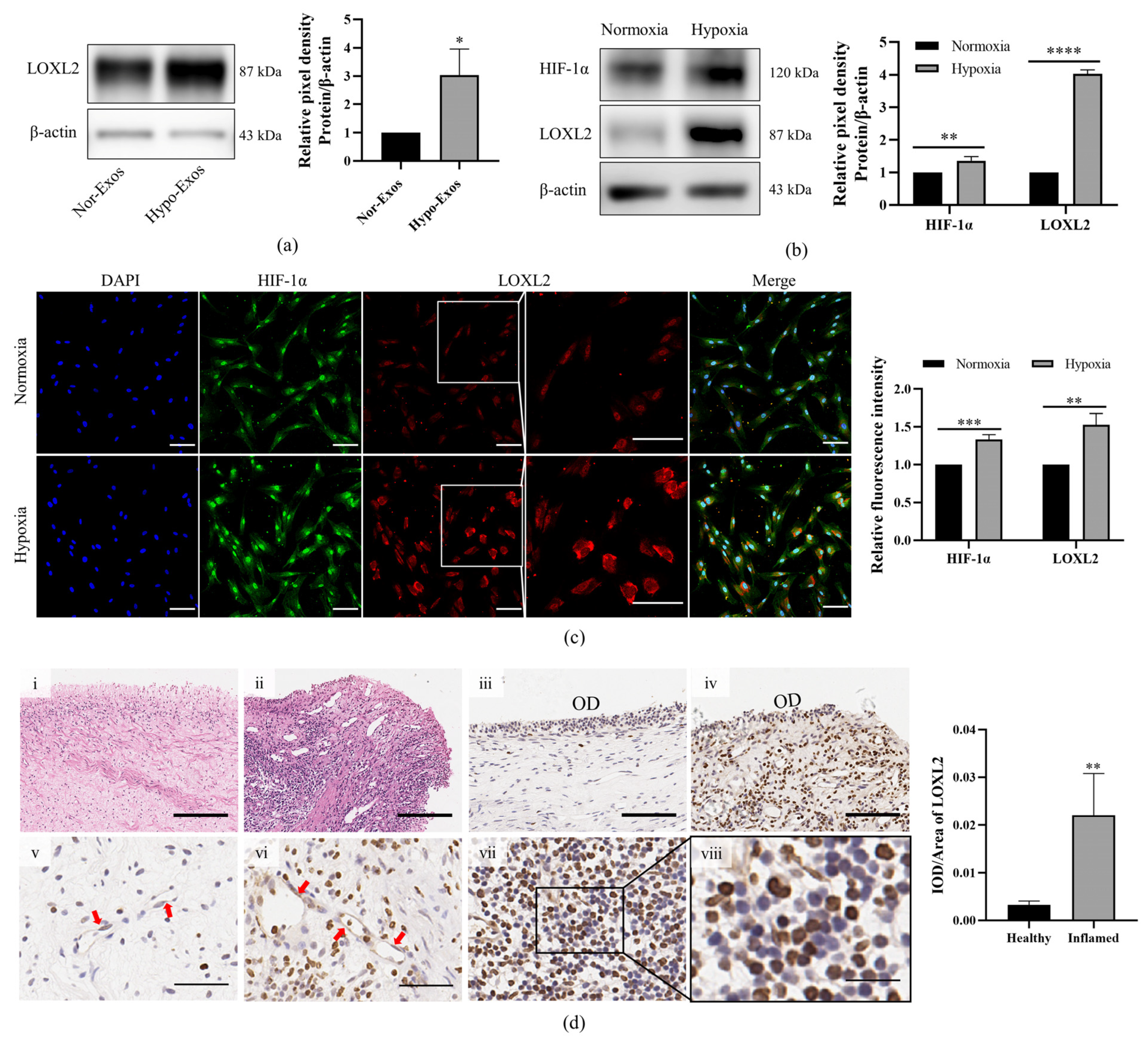 Biomolecules 12 00575 g007 550