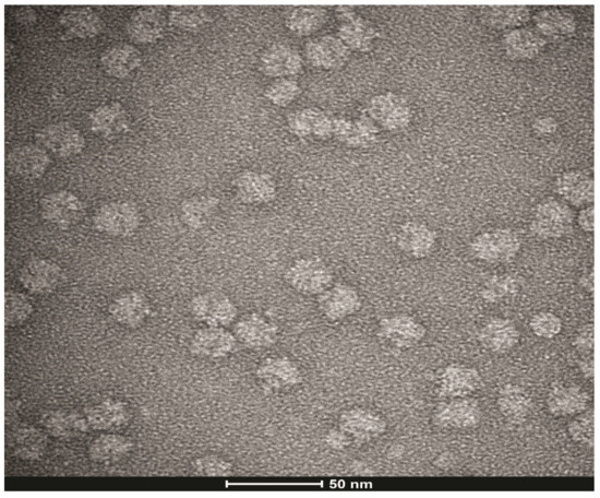 The Ribosome Is the Ultimate Receptor for Trypsin Modulating