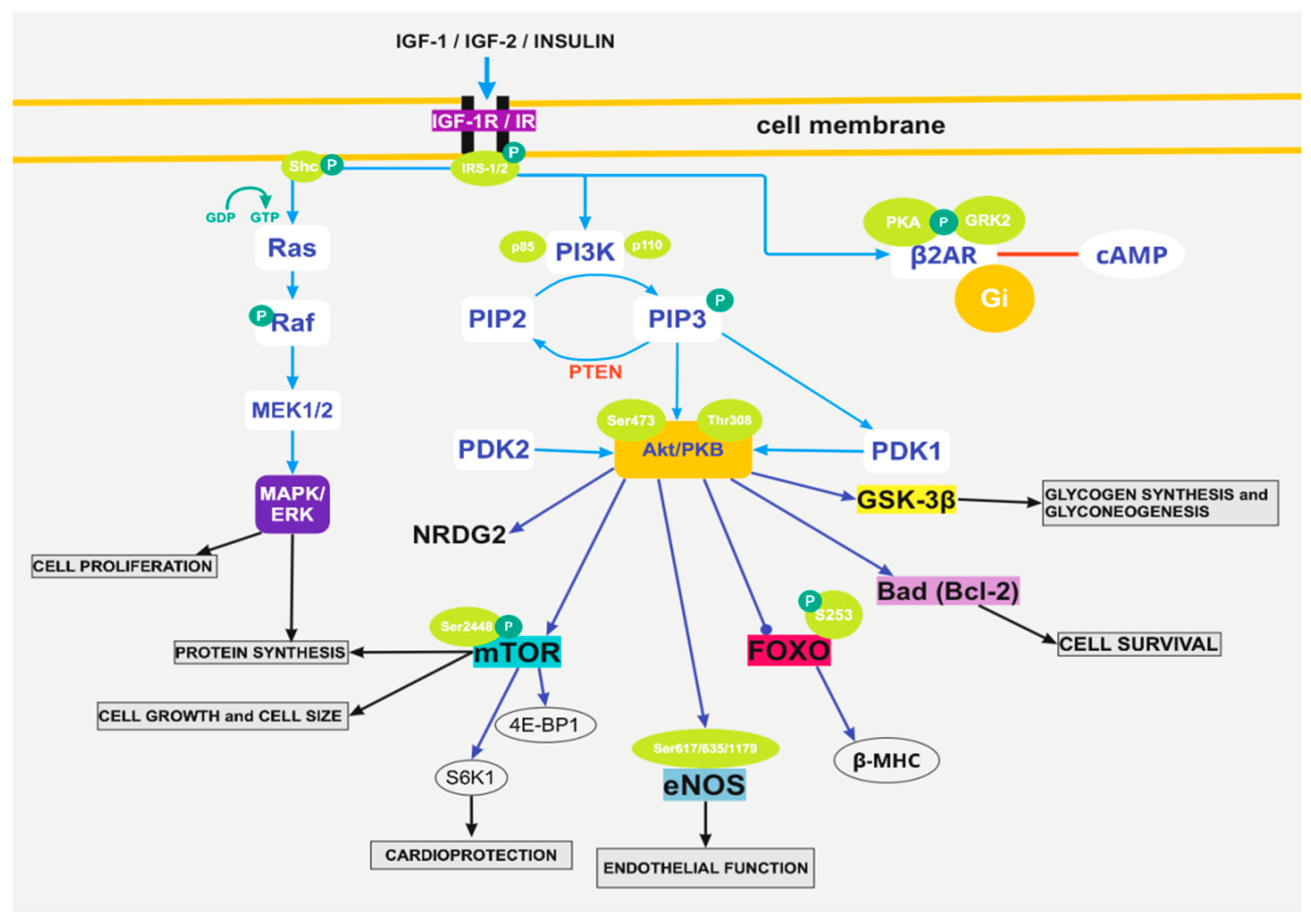Biomolecules 12 00578 g001