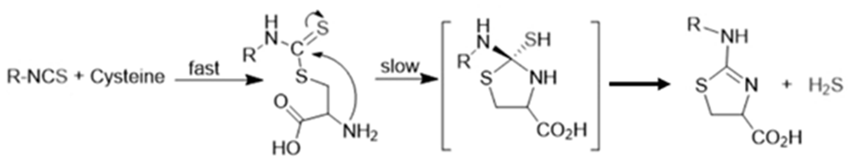 Biomolecules 12 00581 g003 Biomolecules 12 00581 g003