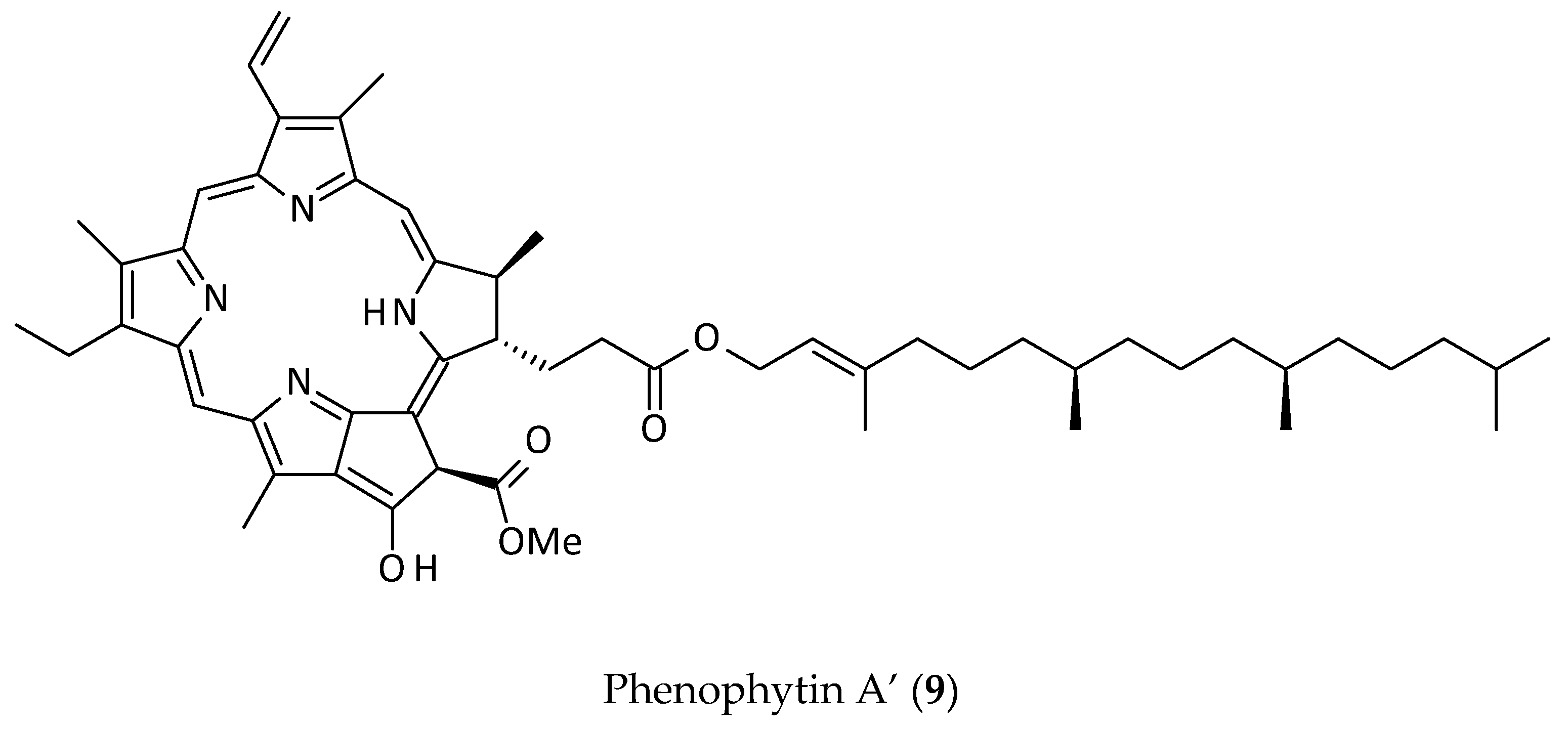 Biomolecules 12 00582 g002b