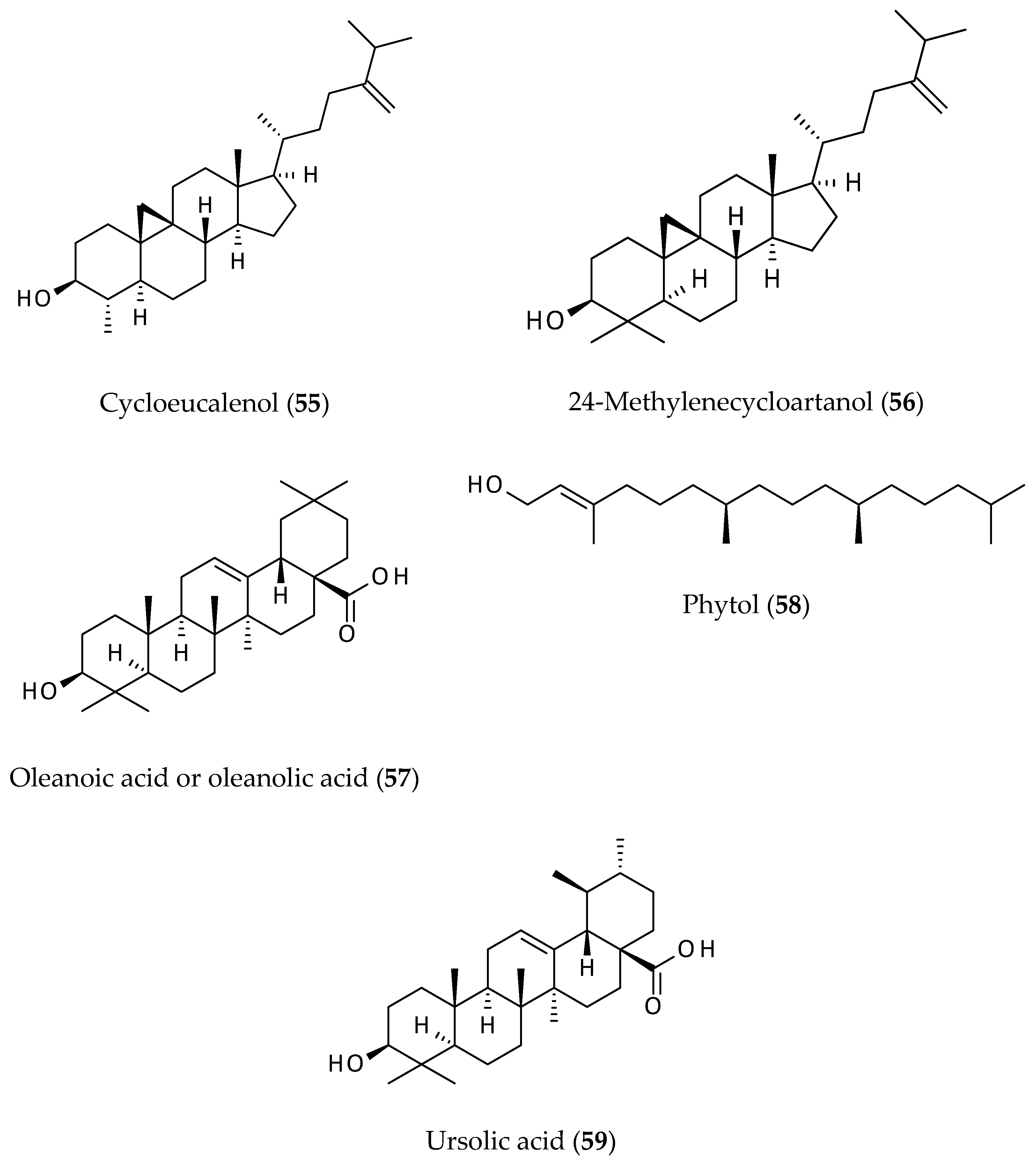 Biomolecules 12 00582 g009