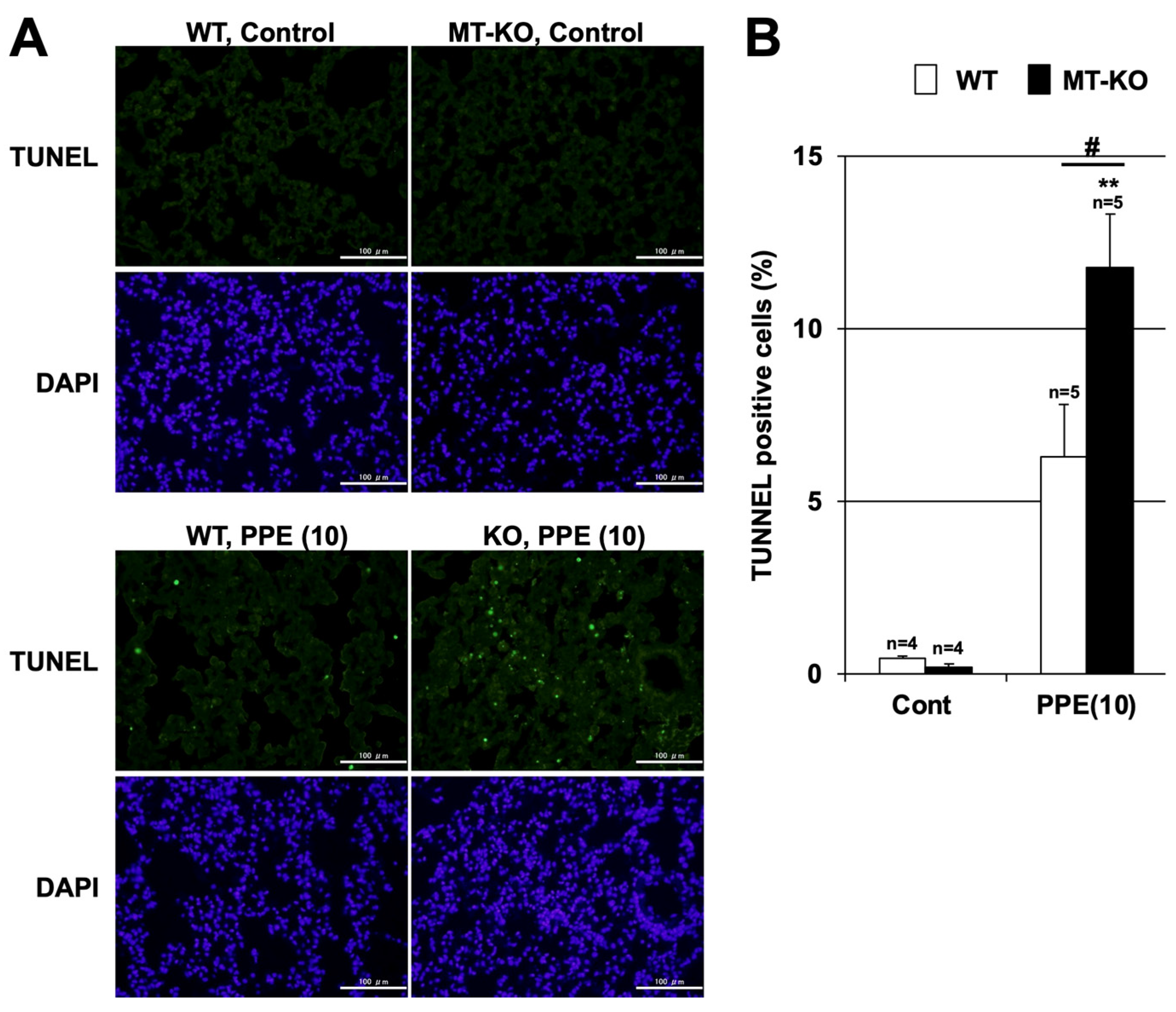 Biomolecules 12 00583 g005