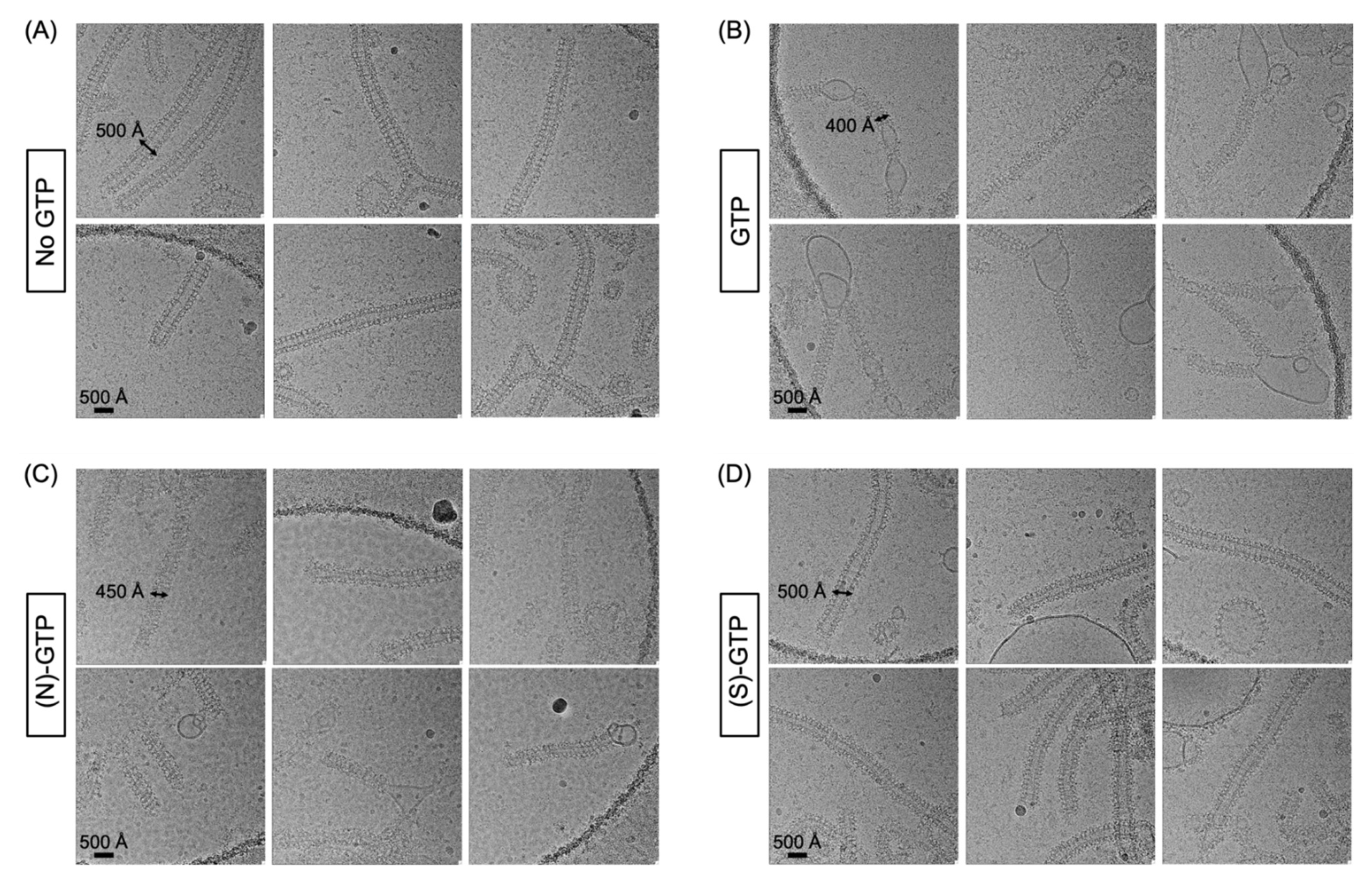 Biomolecules 12 00584 g001