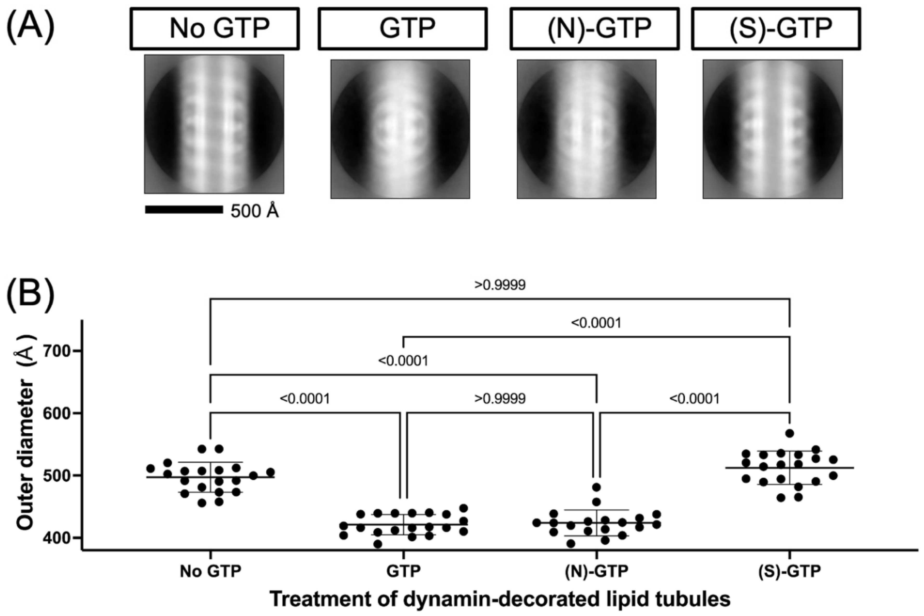 Biomolecules 12 00584 g002