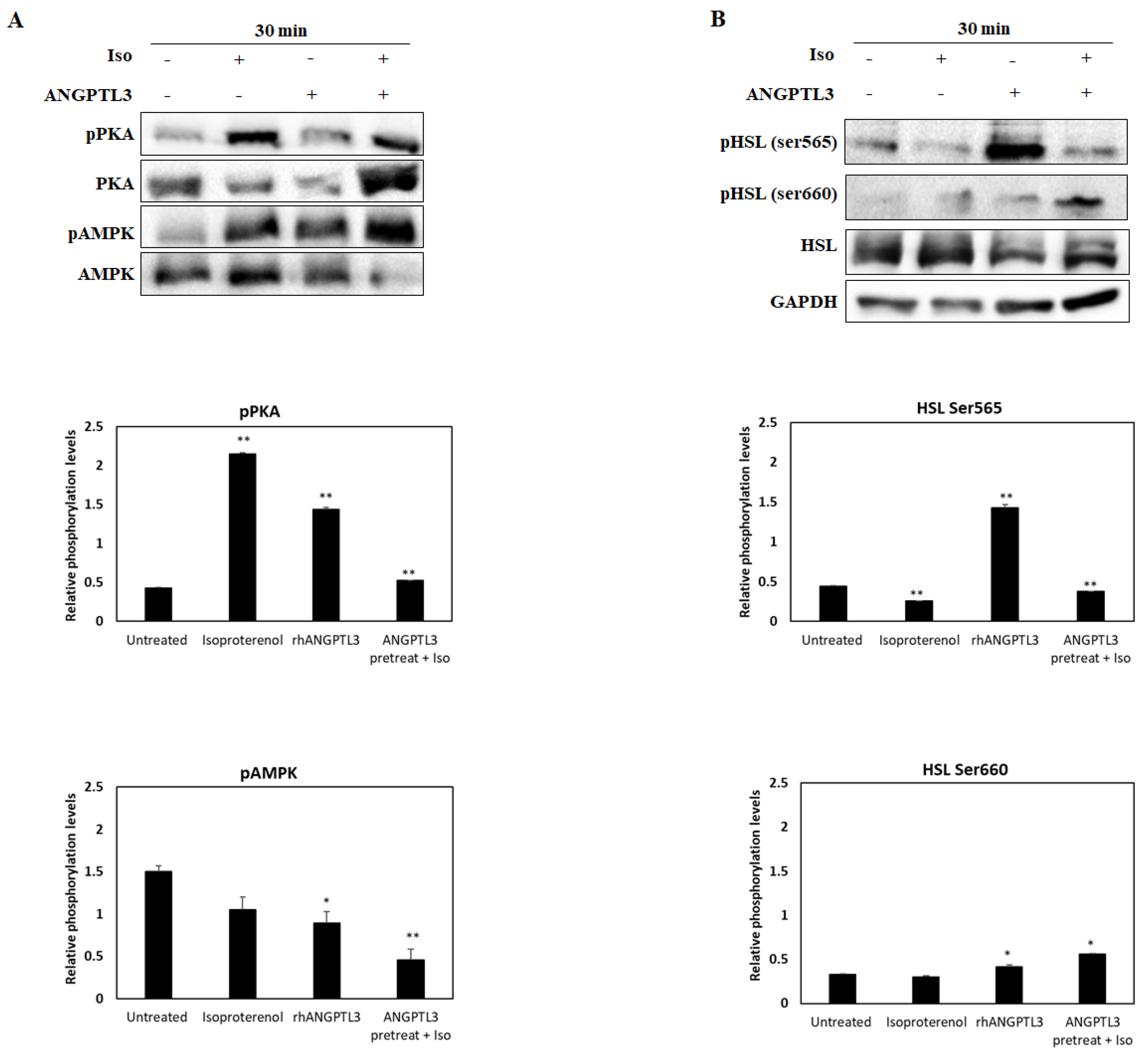 Biomolecules 12 00585 g003 550