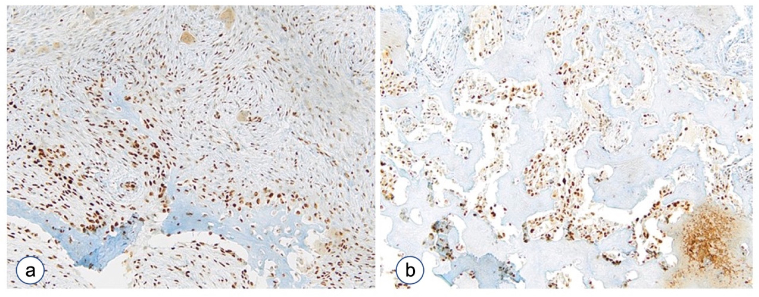 Biomolecules 12 00587 g007 Biomolecules 12 00587 g007