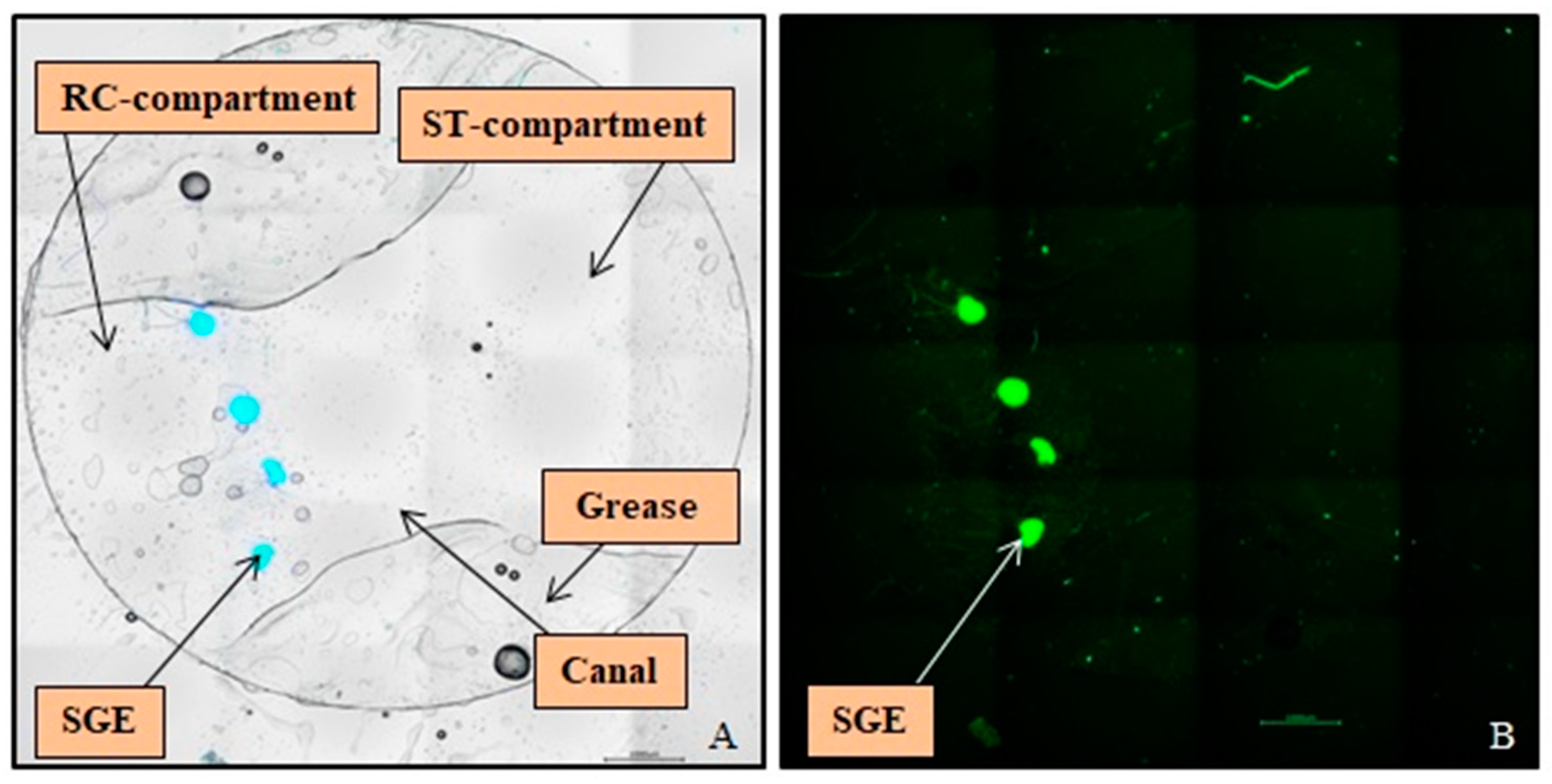 Biomolecules 12 00589 g004