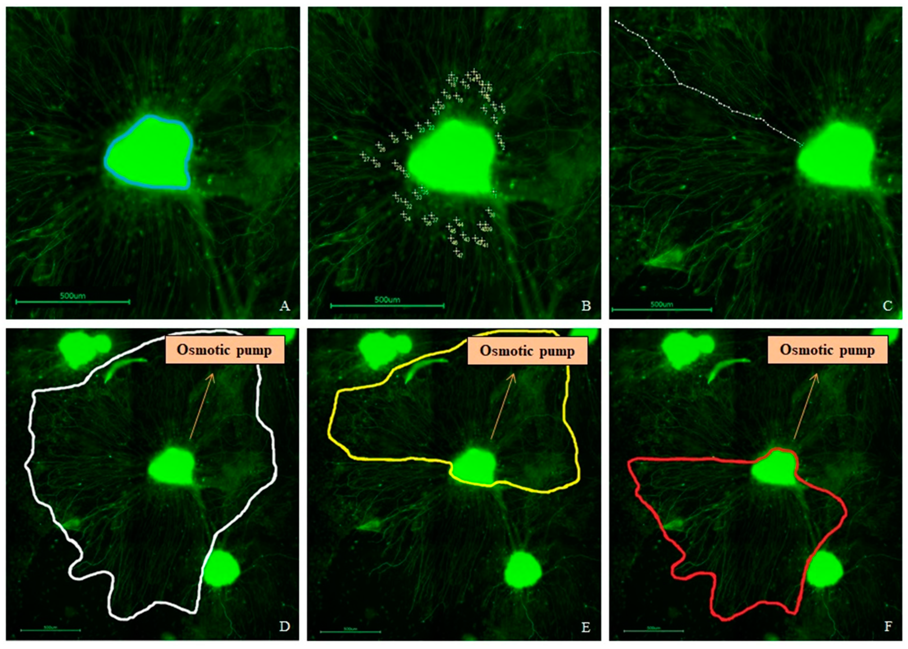 Biomolecules 12 00589 g005
