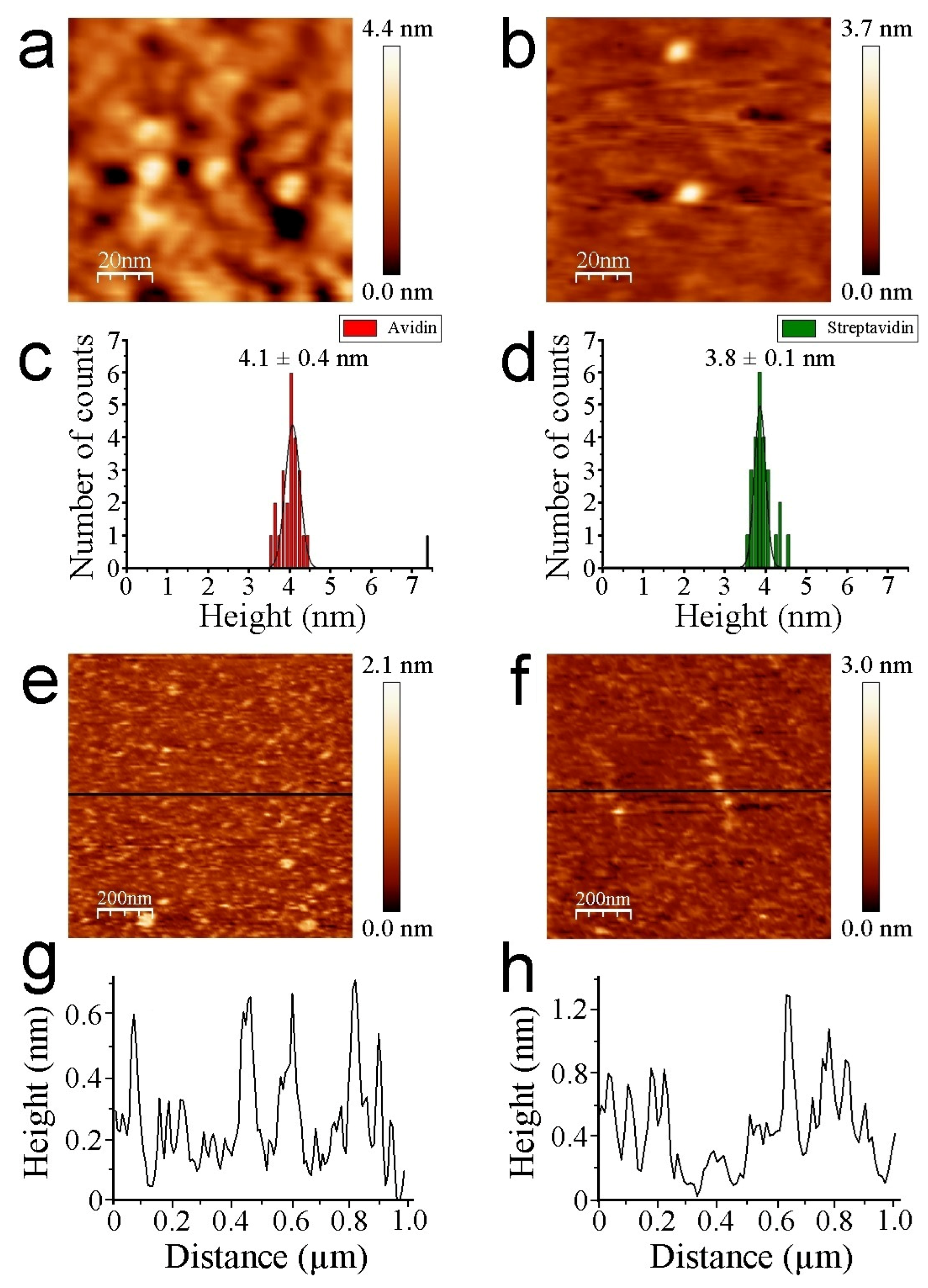 Biomolecules 12 00594 g003 Biomolecules 12 00594 g003