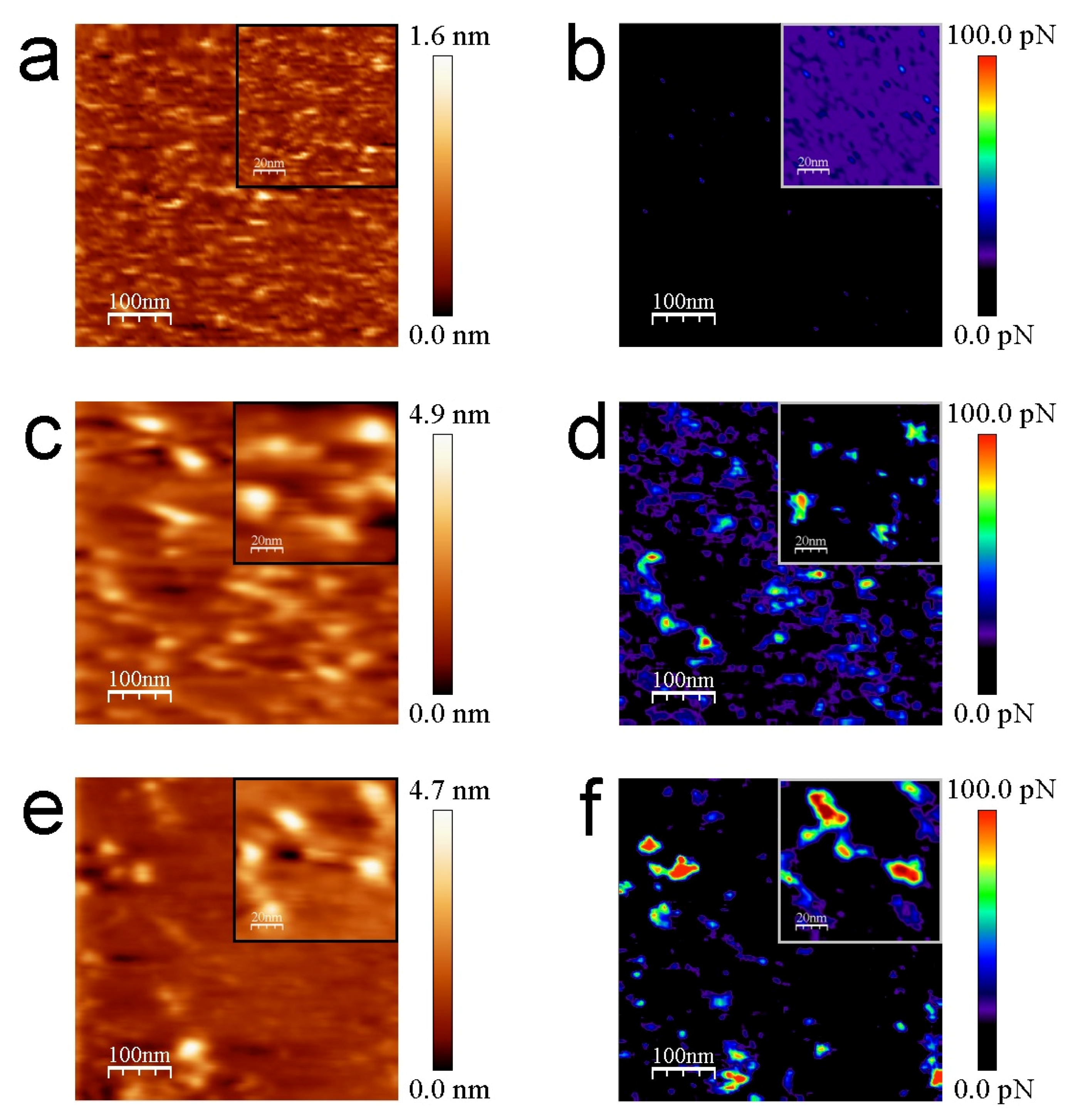 Biomolecules 12 00594 g004 Biomolecules 12 00594 g004