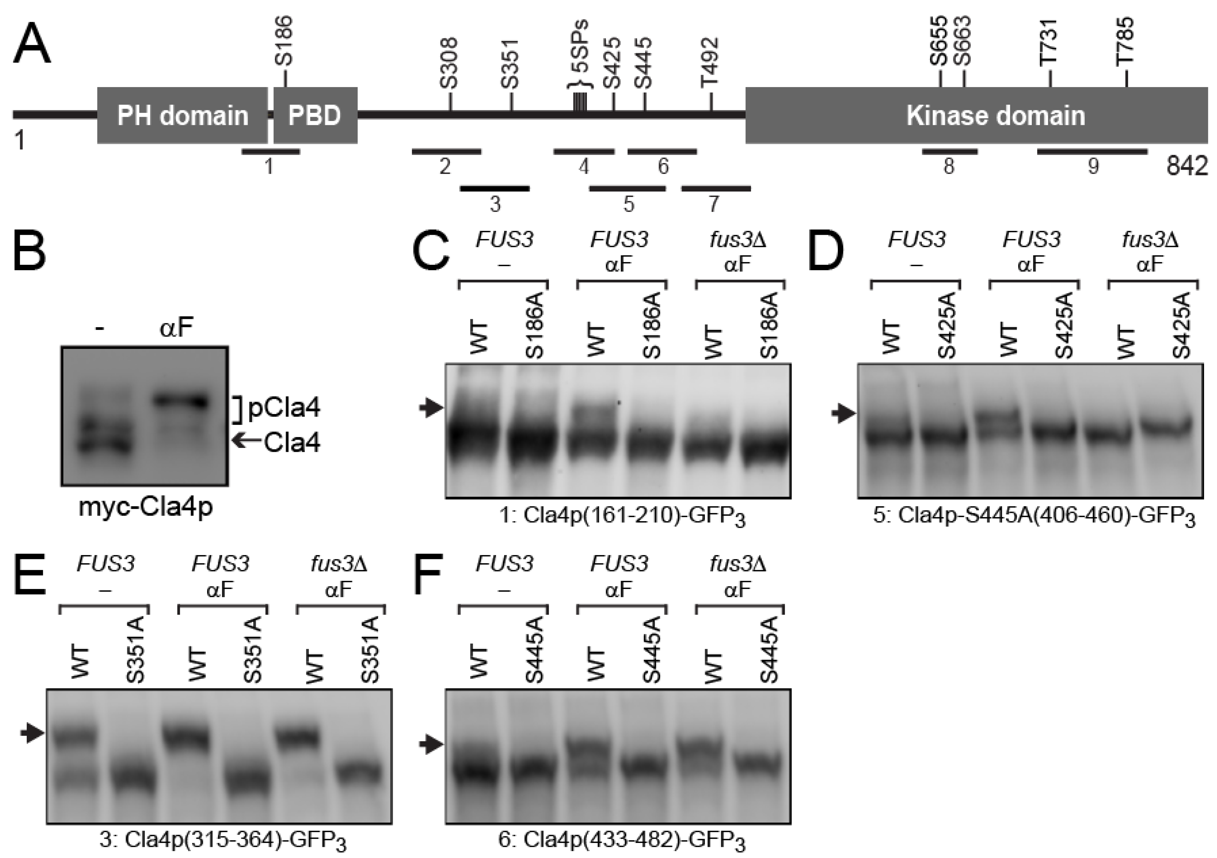 Biomolecules 12 00598 g002 Biomolecules 12 00598 g002