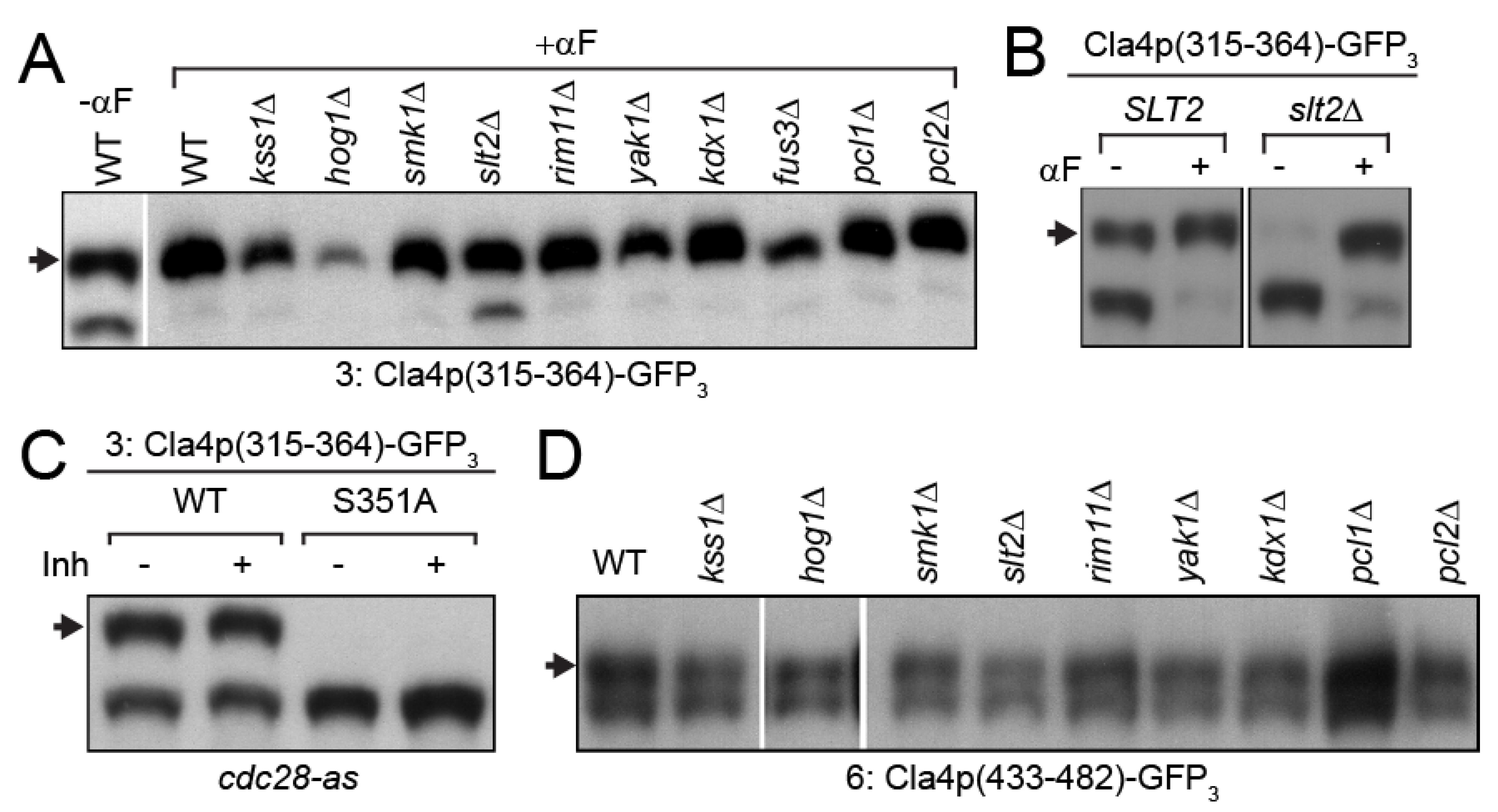 Biomolecules 12 00598 g003 Biomolecules 12 00598 g003
