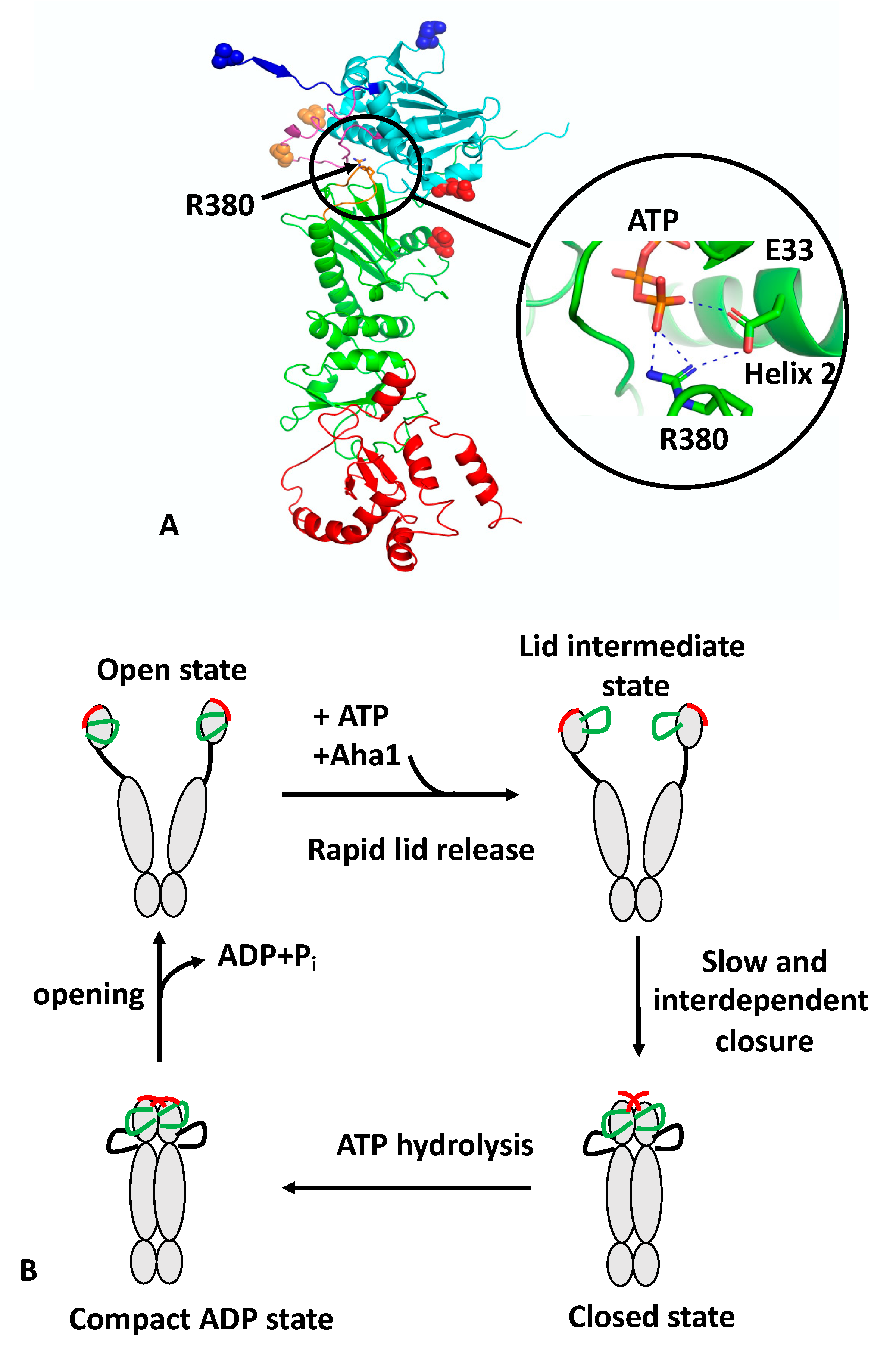 Biomolecules 12 00600 g001 550