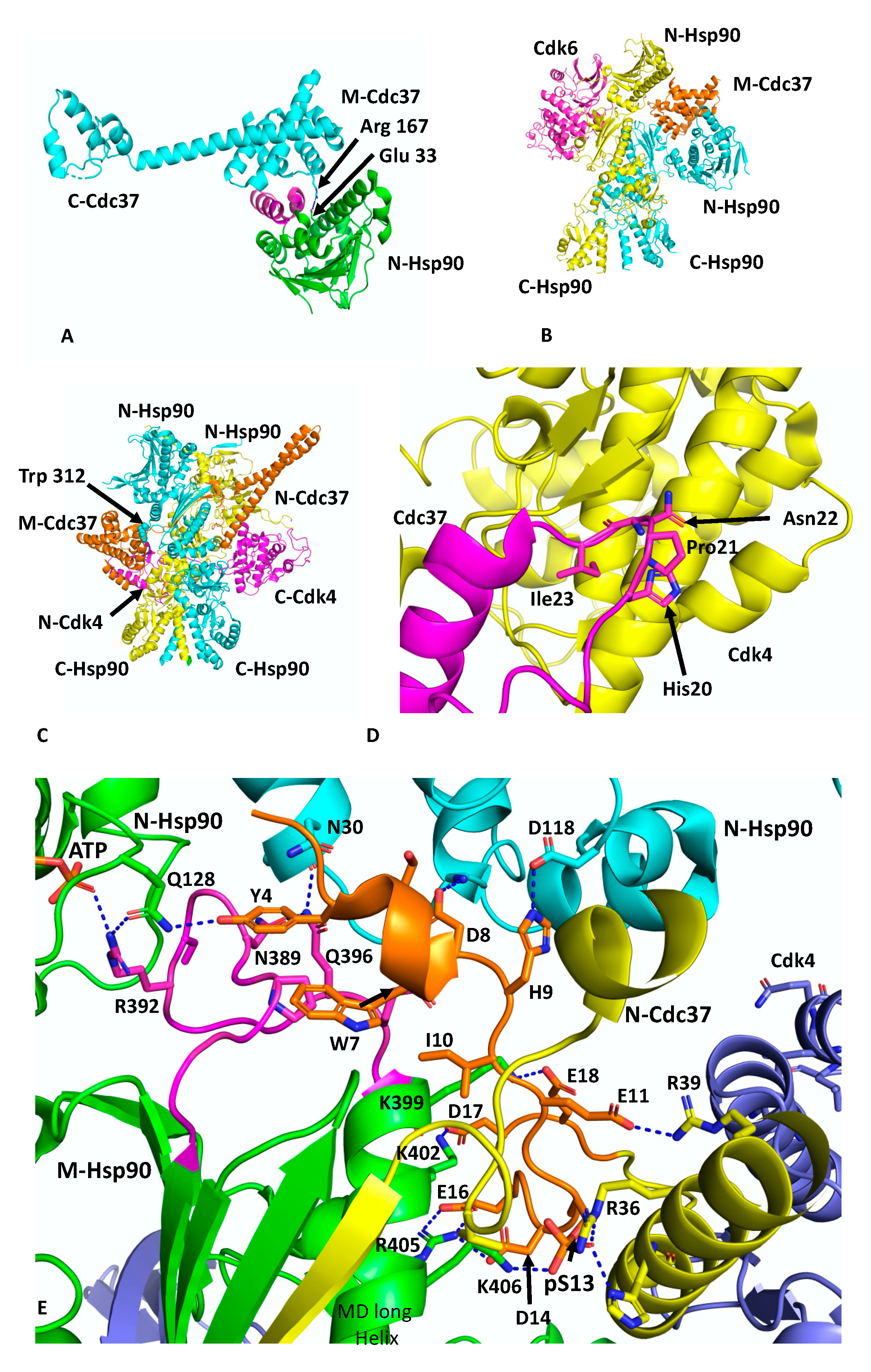 Biomolecules 12 00600 g002 550