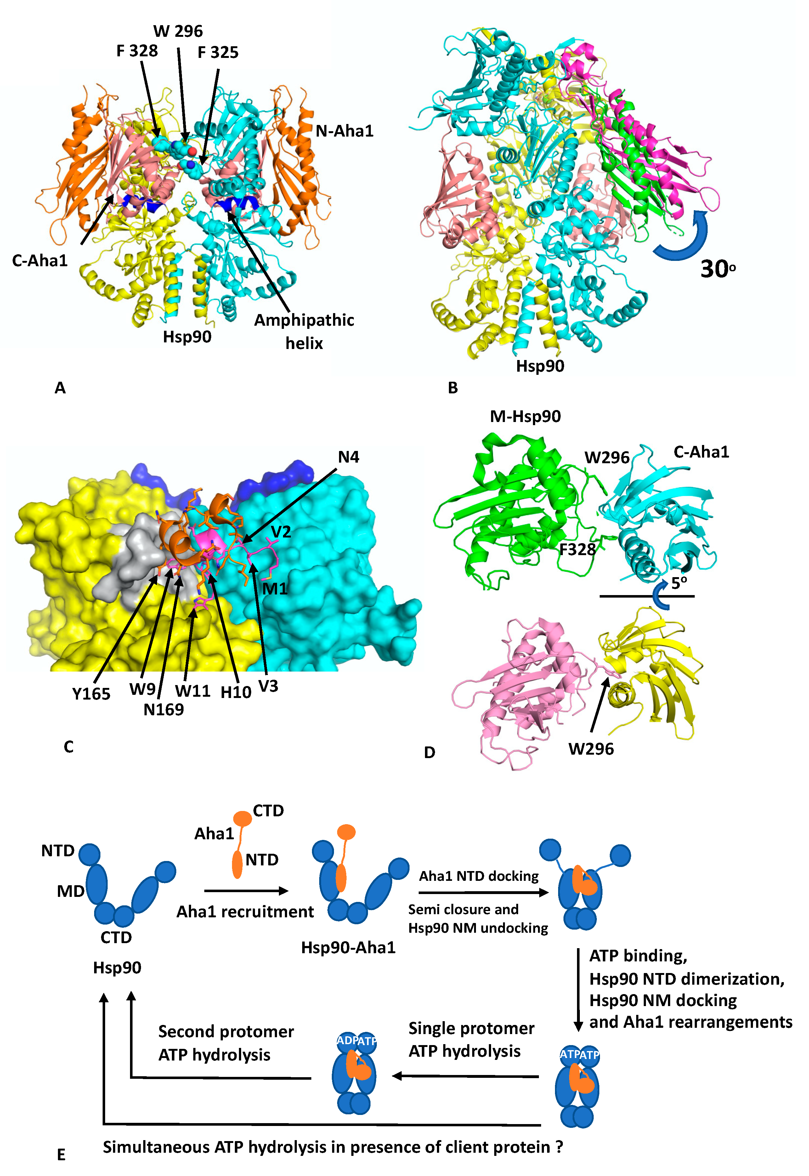 Biomolecules 12 00600 g003 550