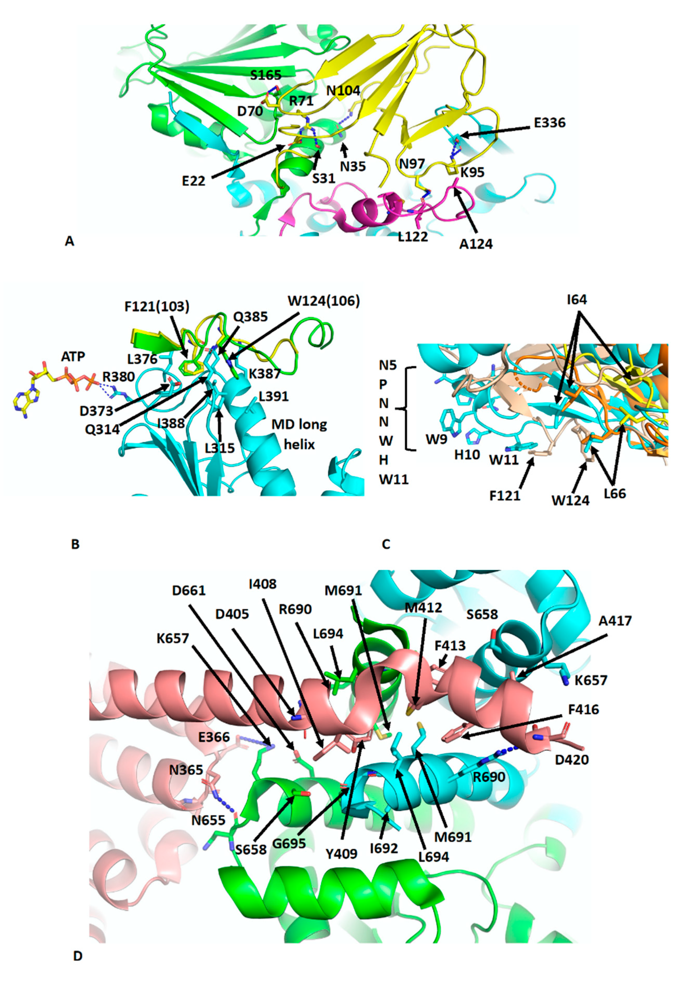 Biomolecules 12 00600 g004 550