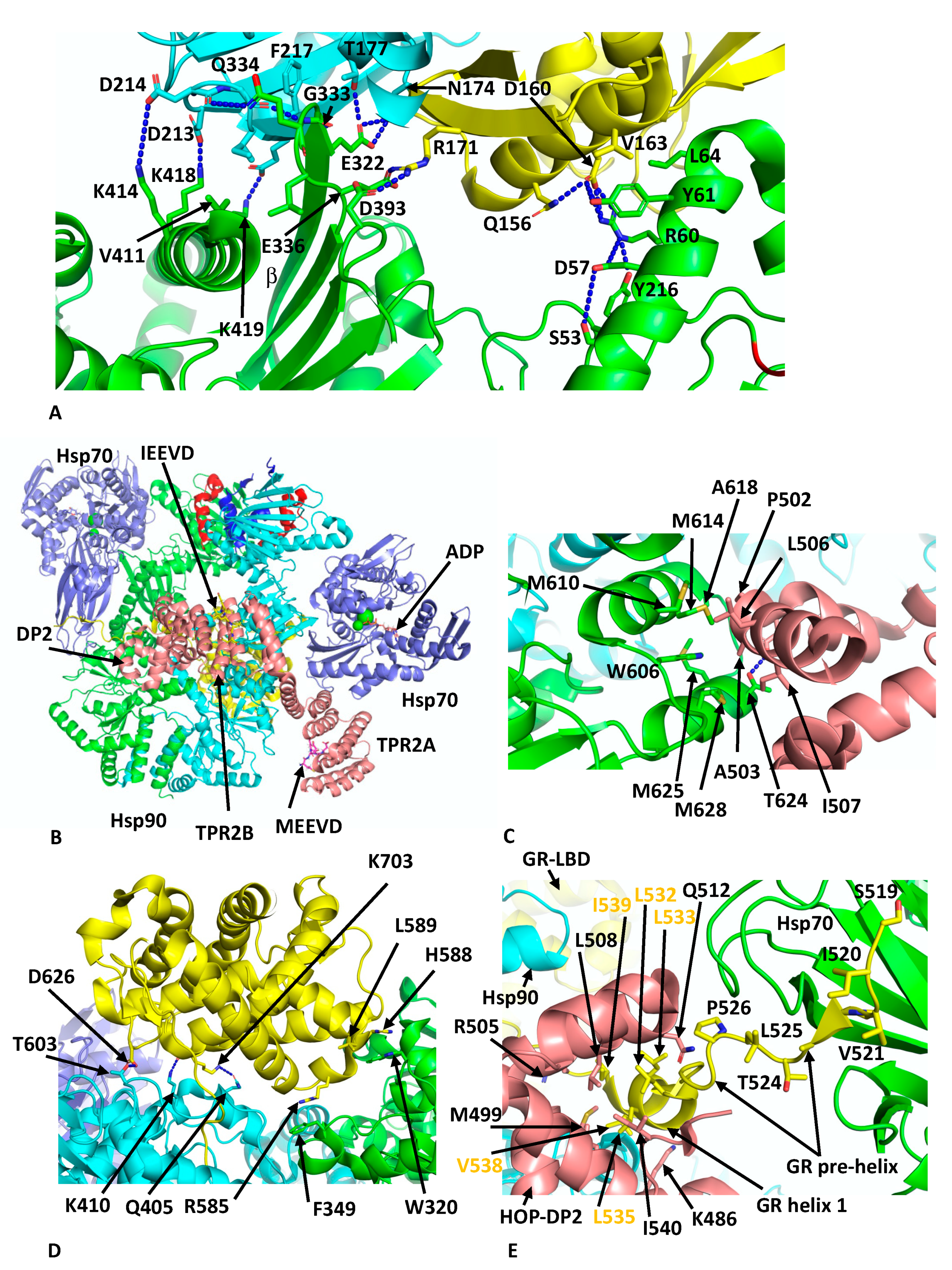 Biomolecules 12 00600 g005 550
