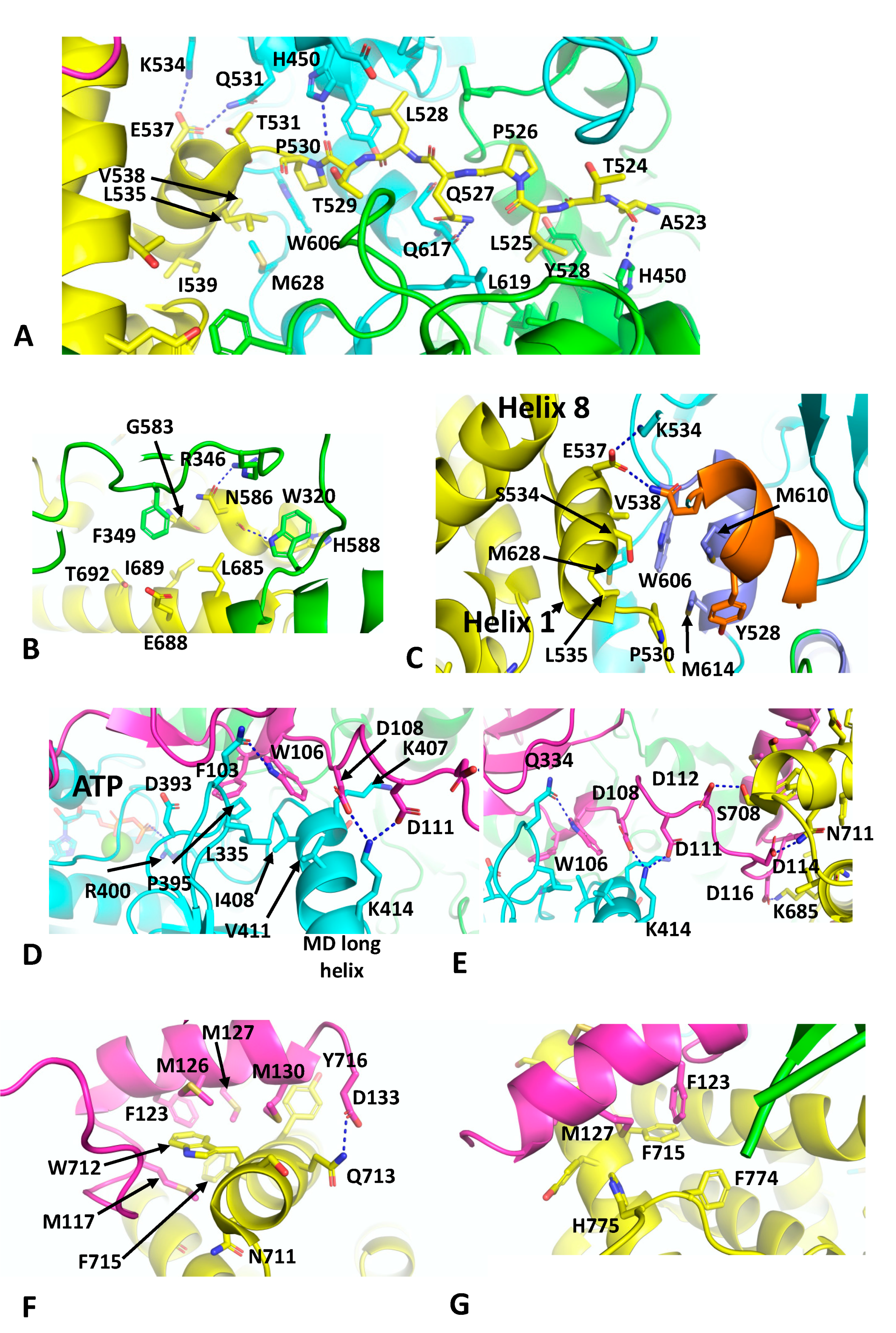Biomolecules 12 00600 g006 550