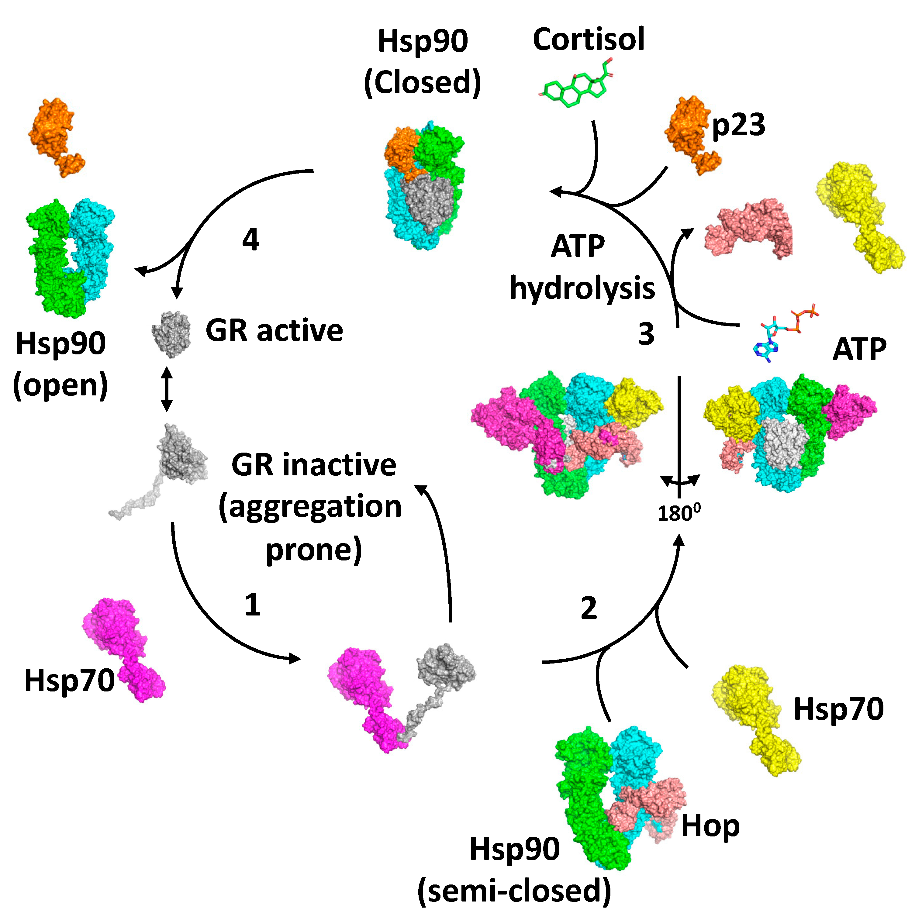 Biomolecules 12 00600 g007 550