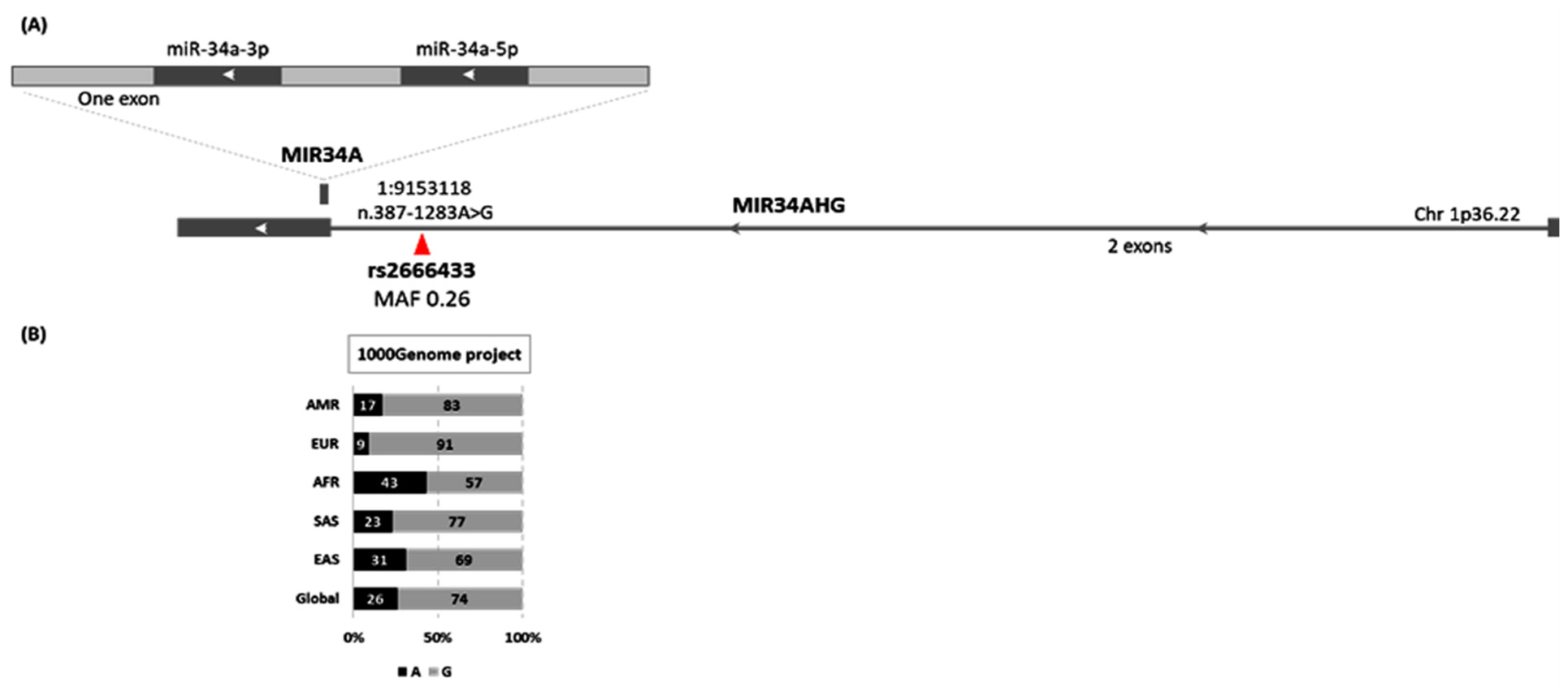 Biomolecules 12 00602 g002 Biomolecules 12 00602 g002