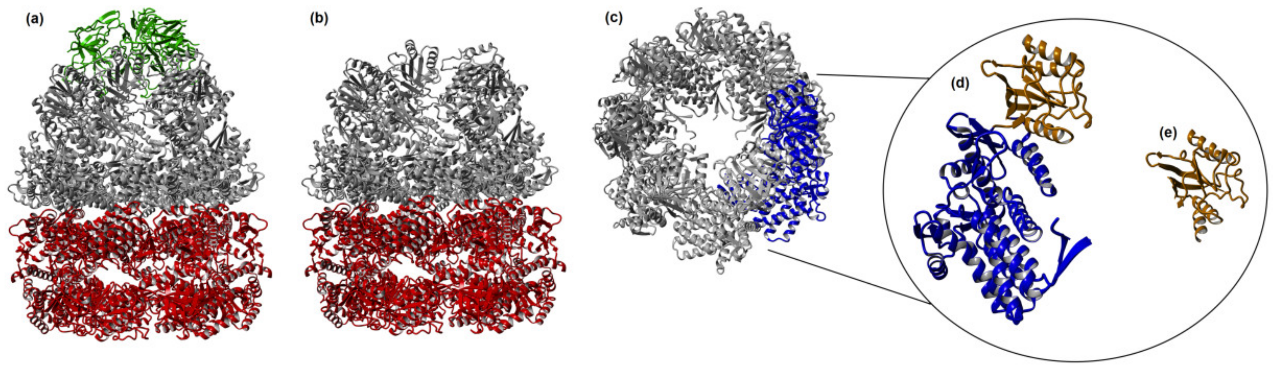 Biomolecules 12 00607 g001