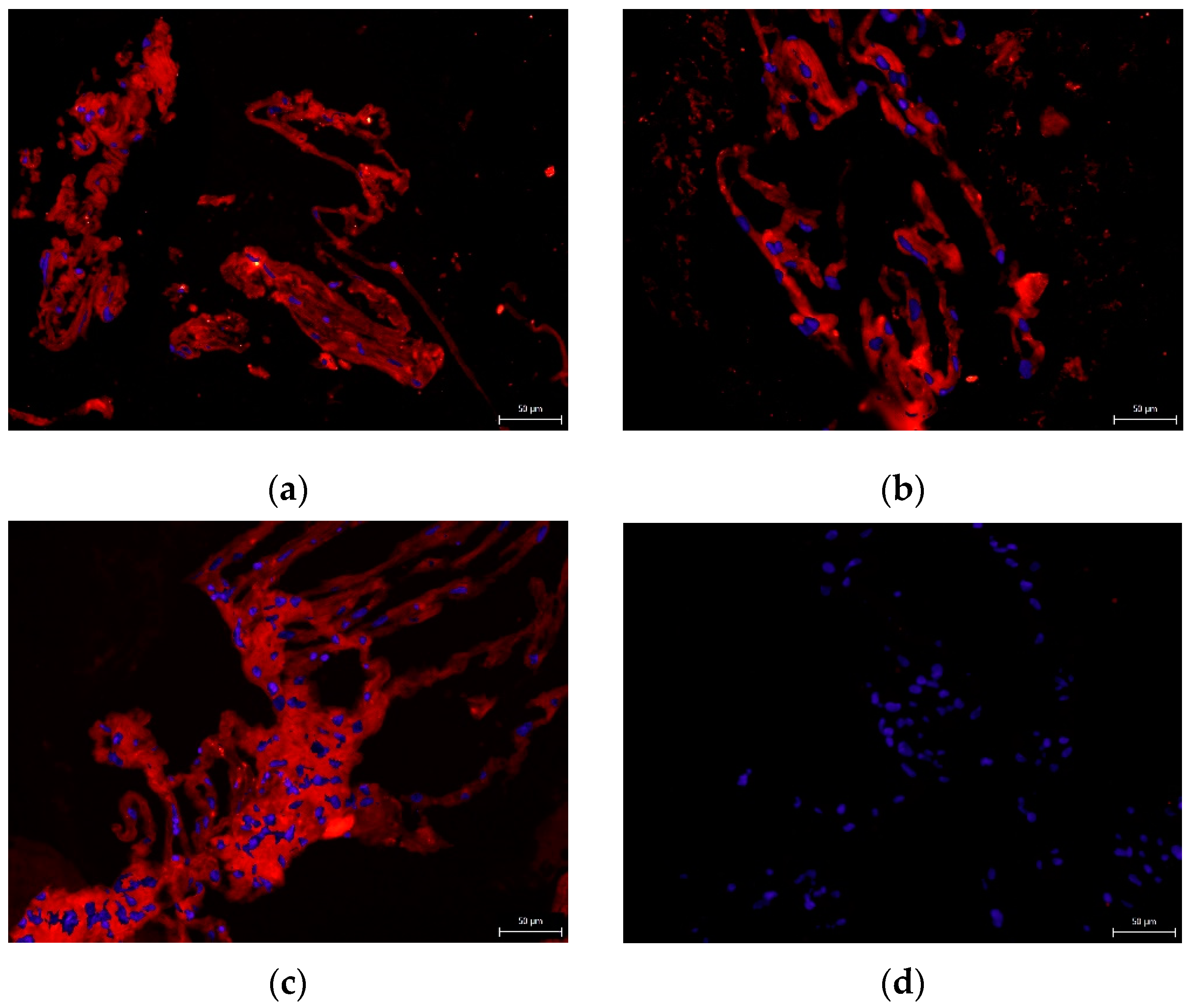Biomolecules 12 00610 g007 550