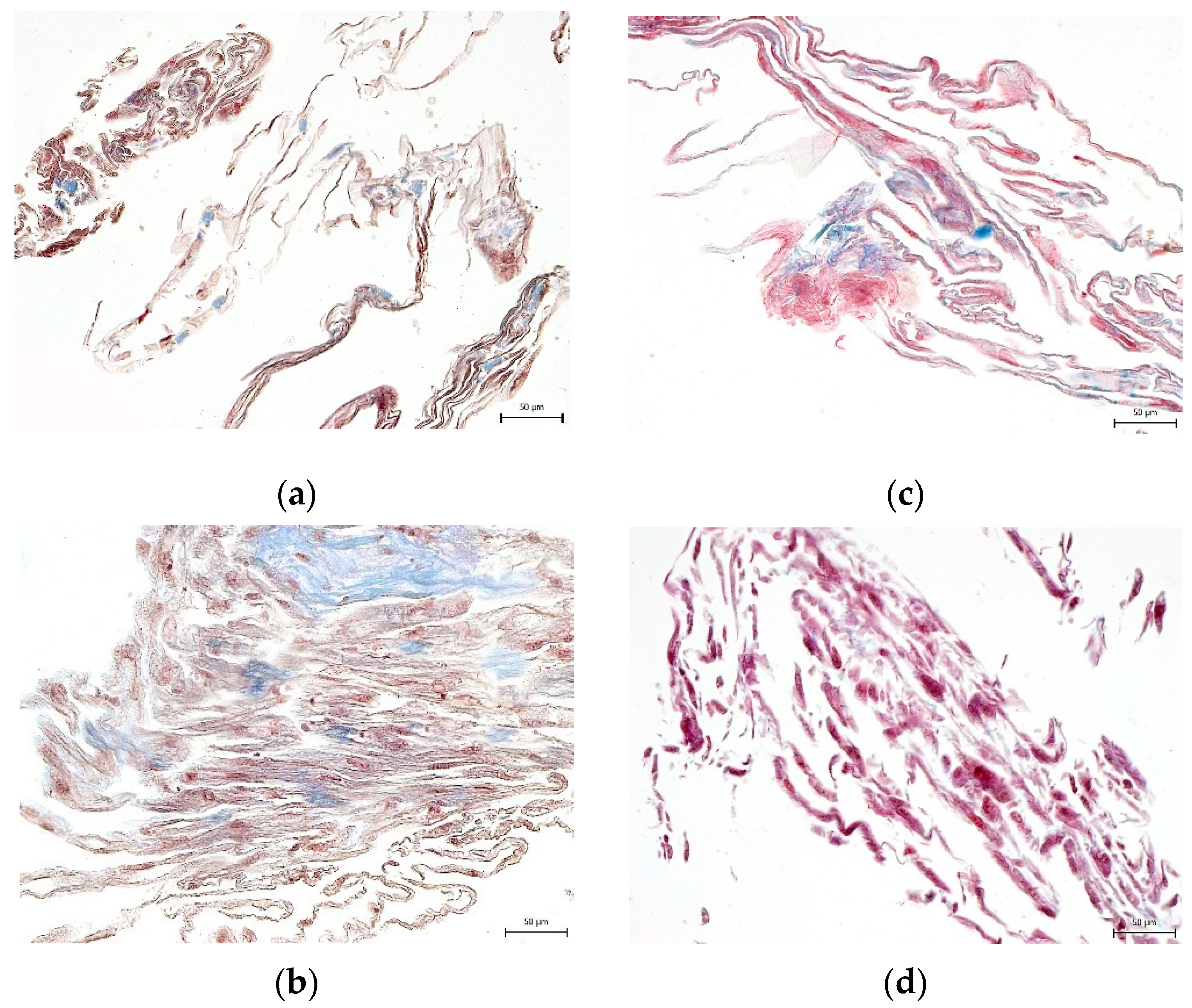 Biomolecules 12 00610 g008 550