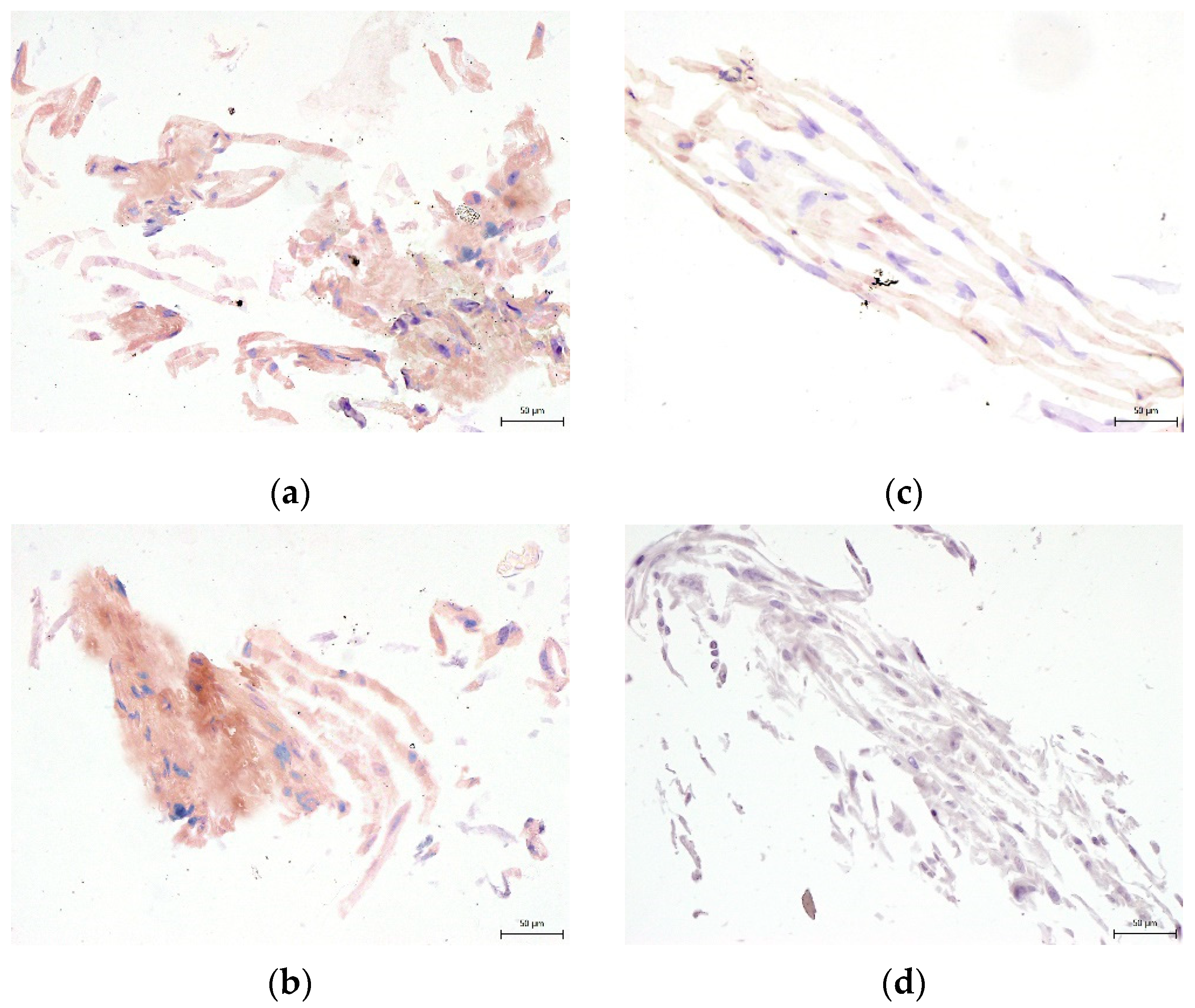 Biomolecules 12 00610 g010 550