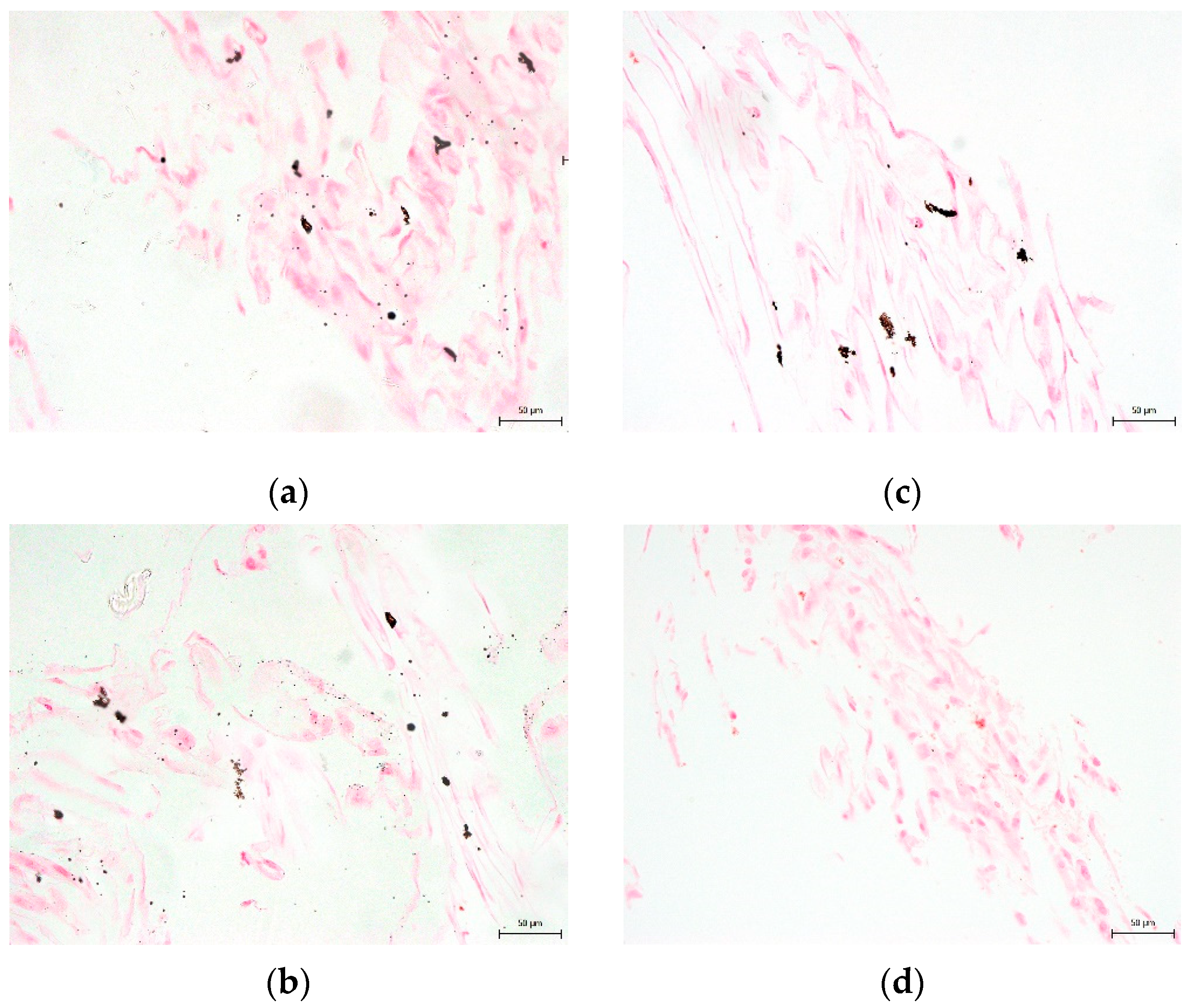 Biomolecules 12 00610 g011 550
