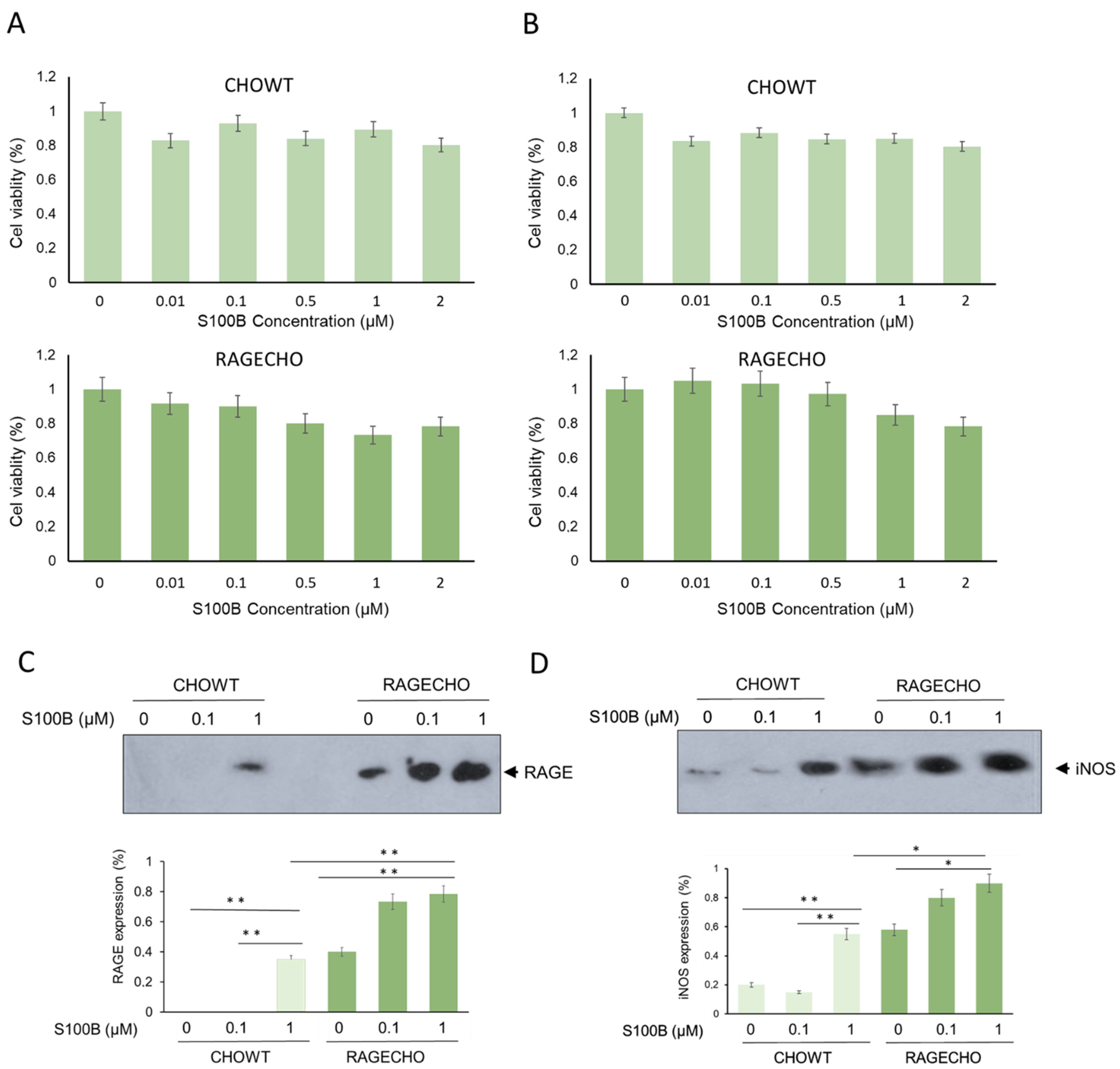 Biomolecules 12 00613 g001