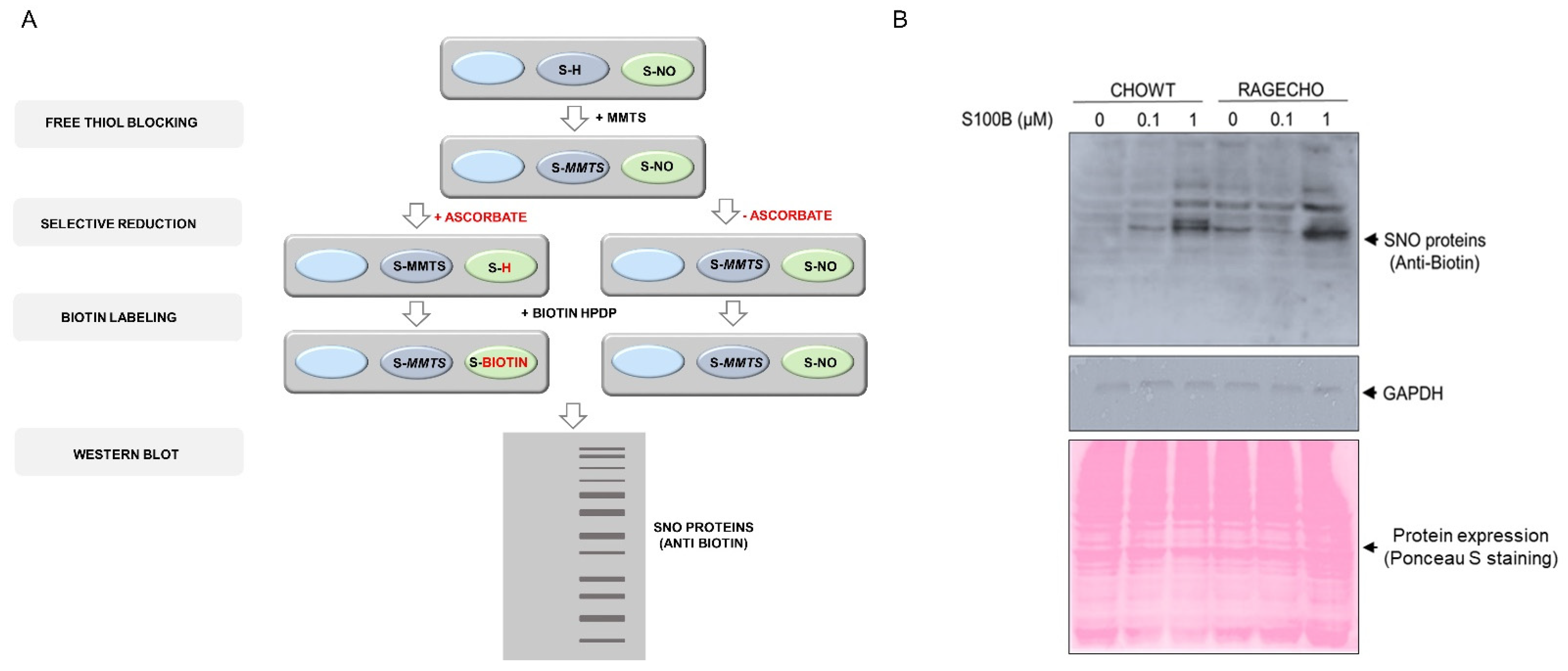 Biomolecules 12 00613 g002
