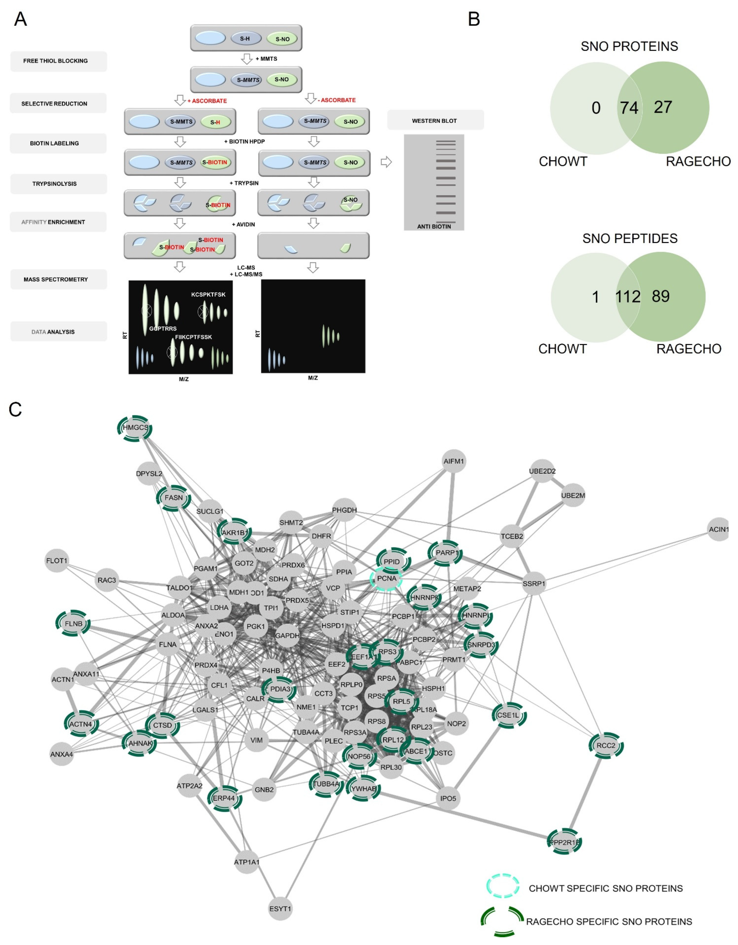 Biomolecules 12 00613 g003