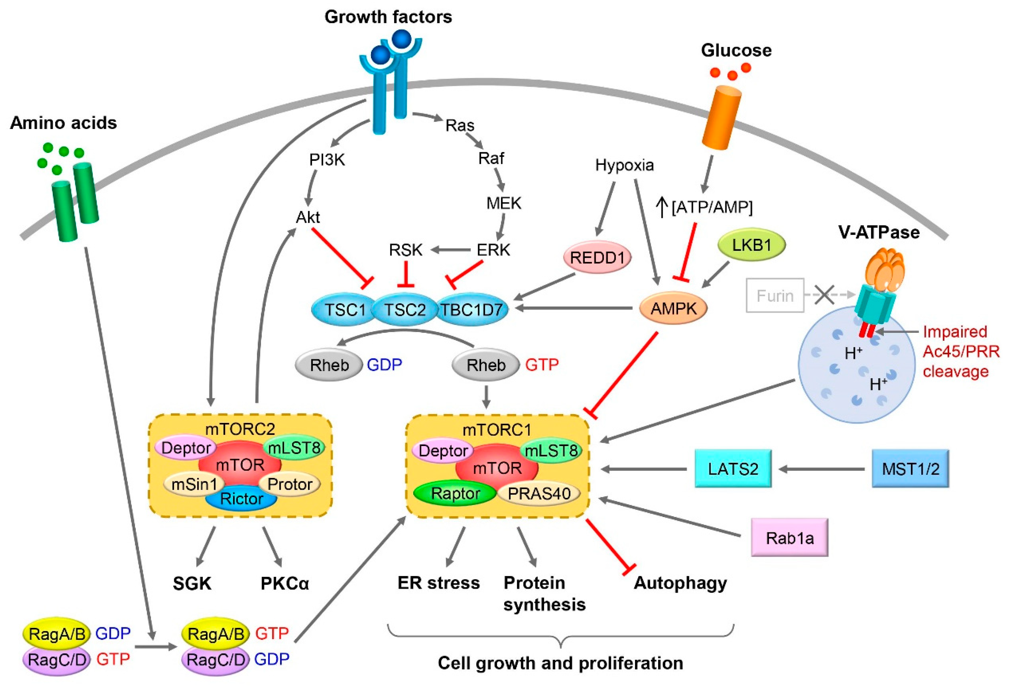 Biomolecules 12 00614 g001