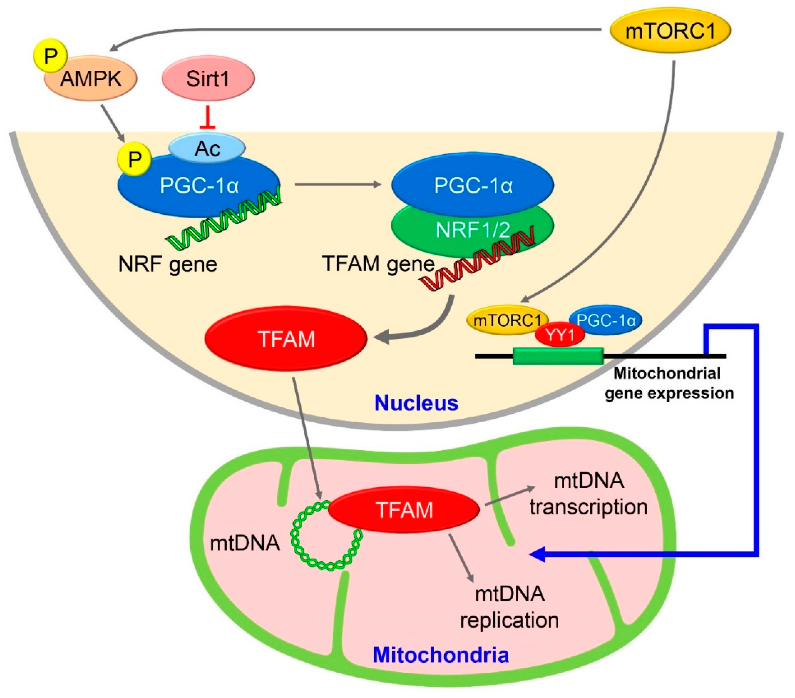 Biomolecules 12 00614 g002