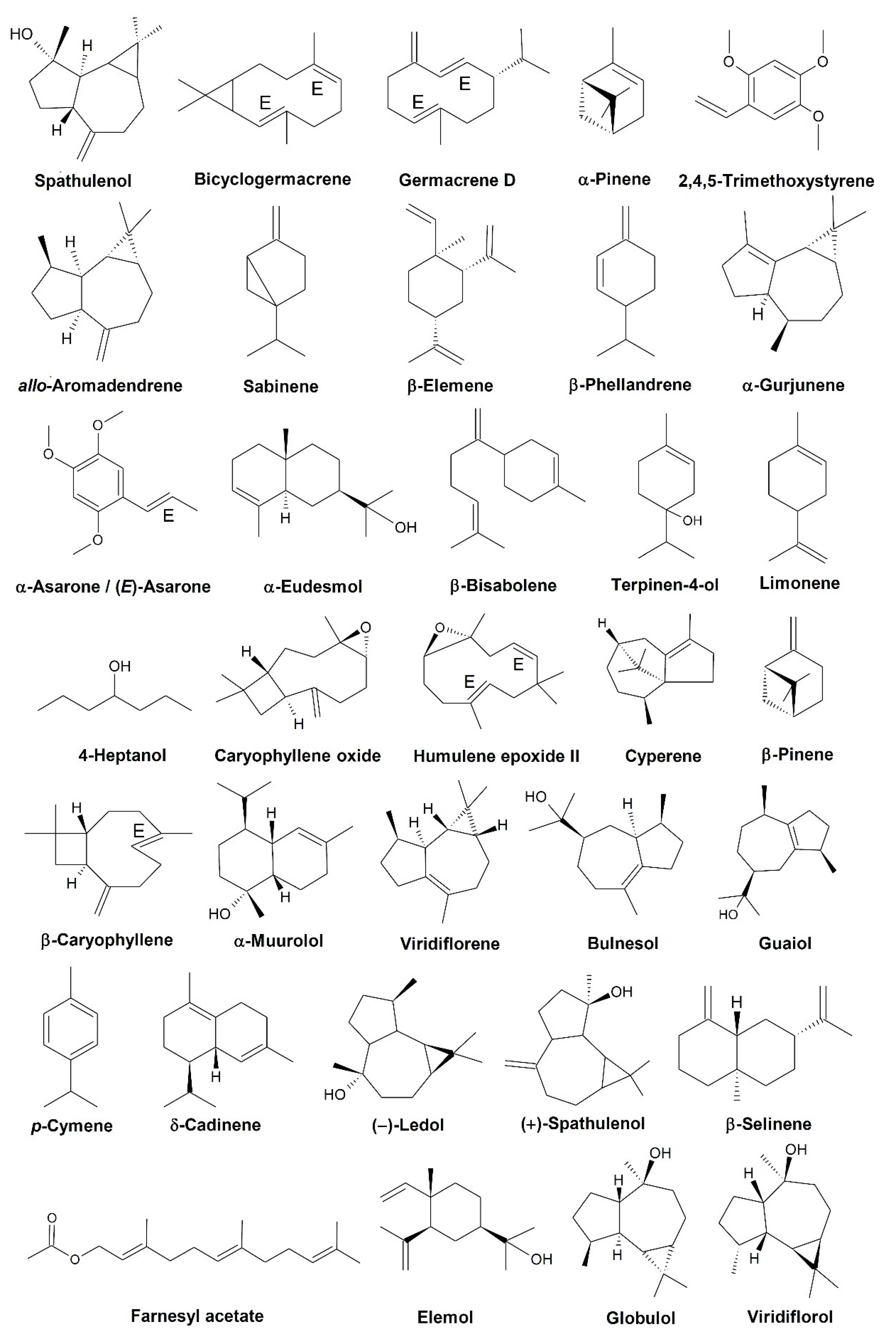 Biomolecules 12 00615 g001 Biomolecules 12 00615 g001